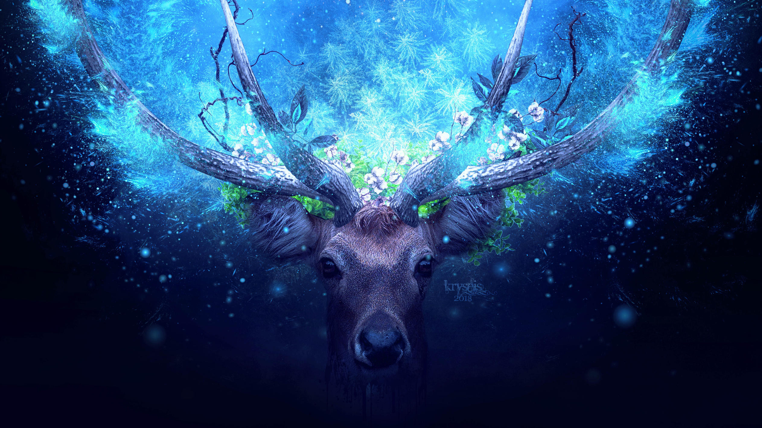 Deer Artistic Blue Manipulation, HD Artist, 4k Wallpapers, Images,  Backgrounds, Photos and Pictures