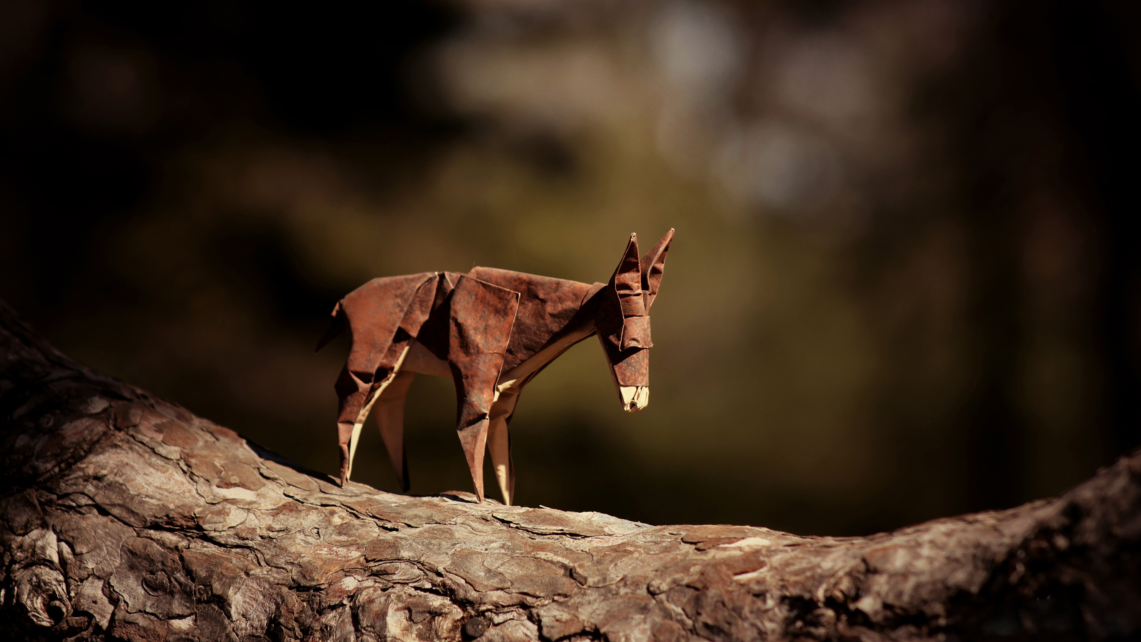 Donkey Origami, HD Creative, 4k