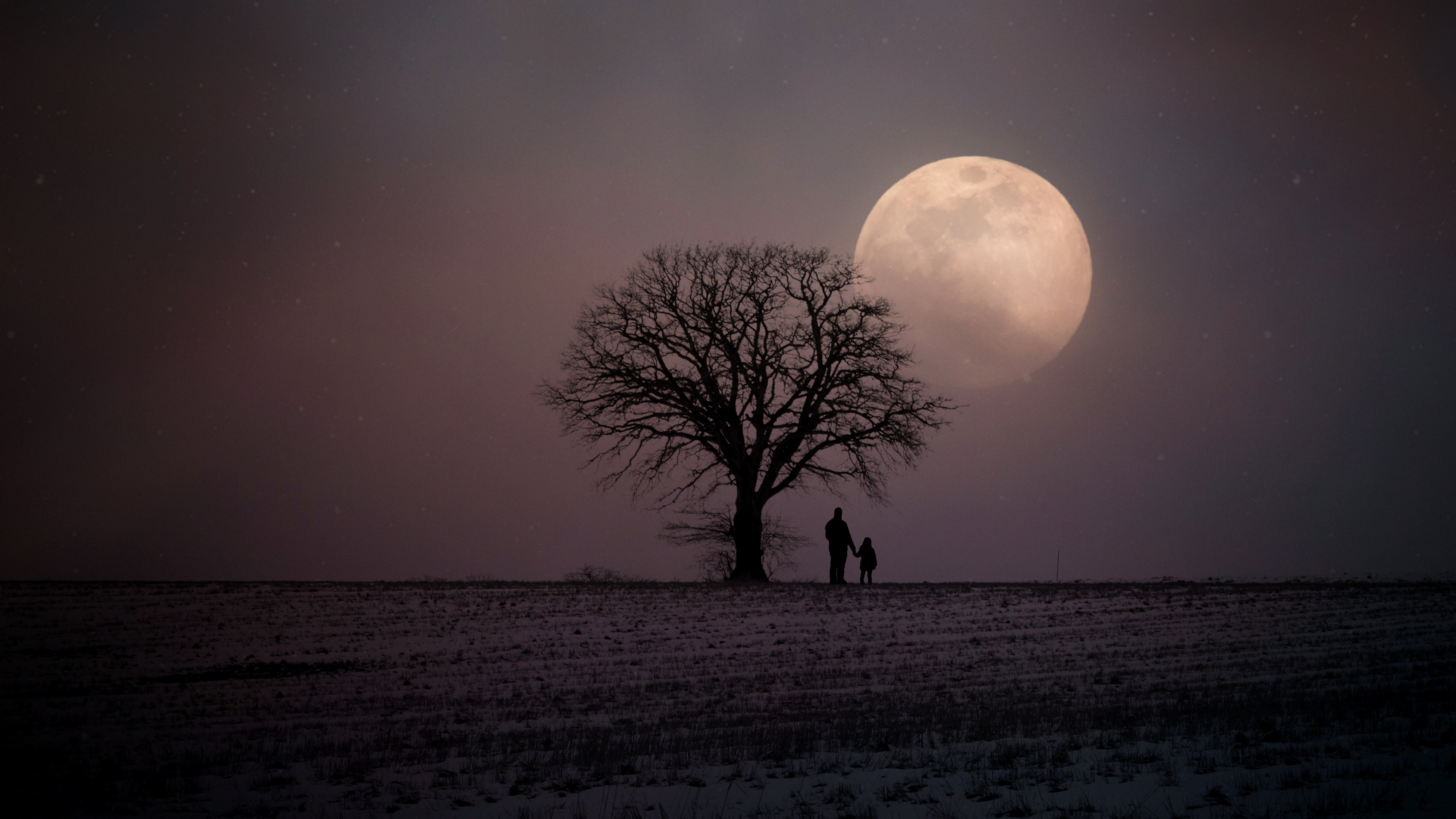 Lonely moon. Лунный пейзаж. Лунная ночь. Фото Луны. Ночной пейзаж с луной.