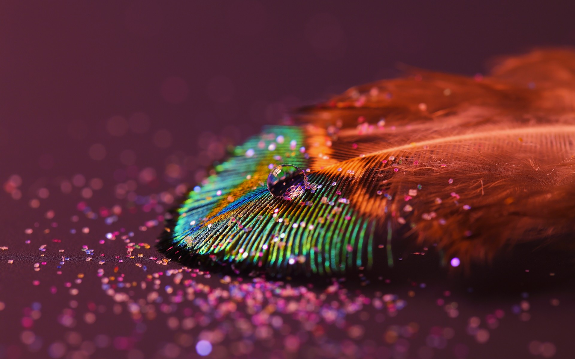 Feather Drop, HD Nature, 4k Wallpapers, Images, Backgrounds, Photos and  Pictures