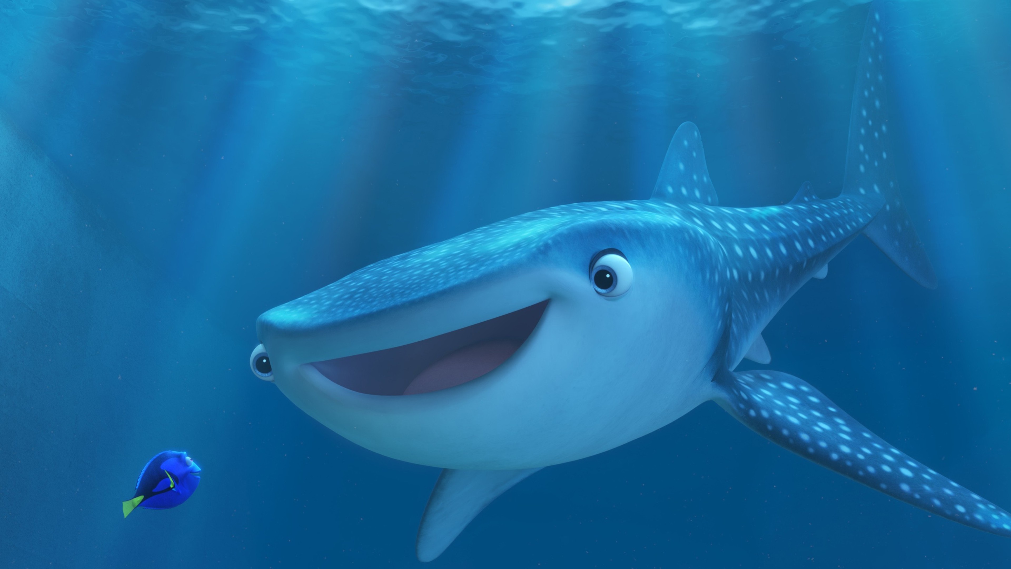 Finding Dory, HD Movies, 4k Wallpapers