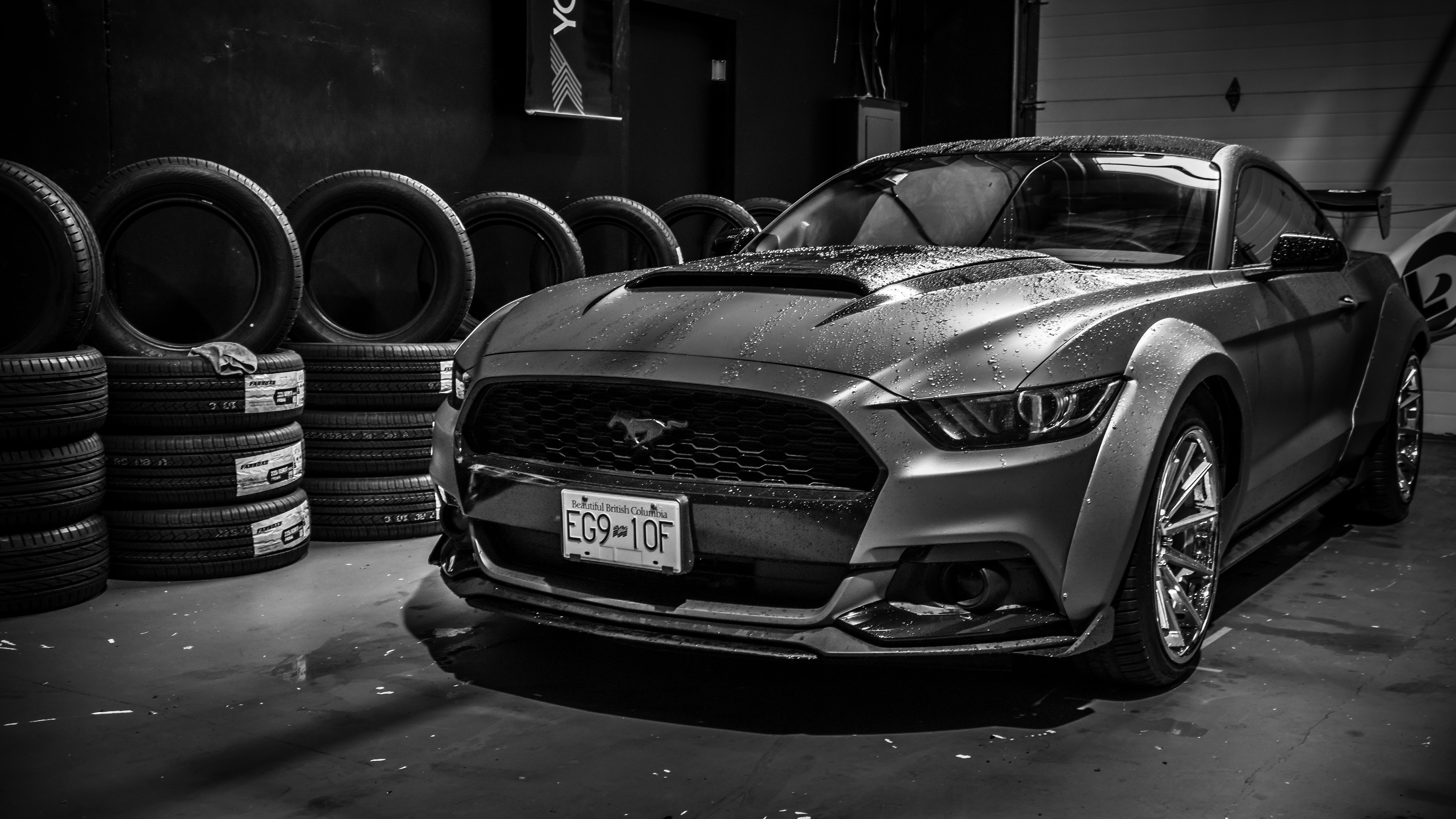 Ford Mustang Wallpaper Pc