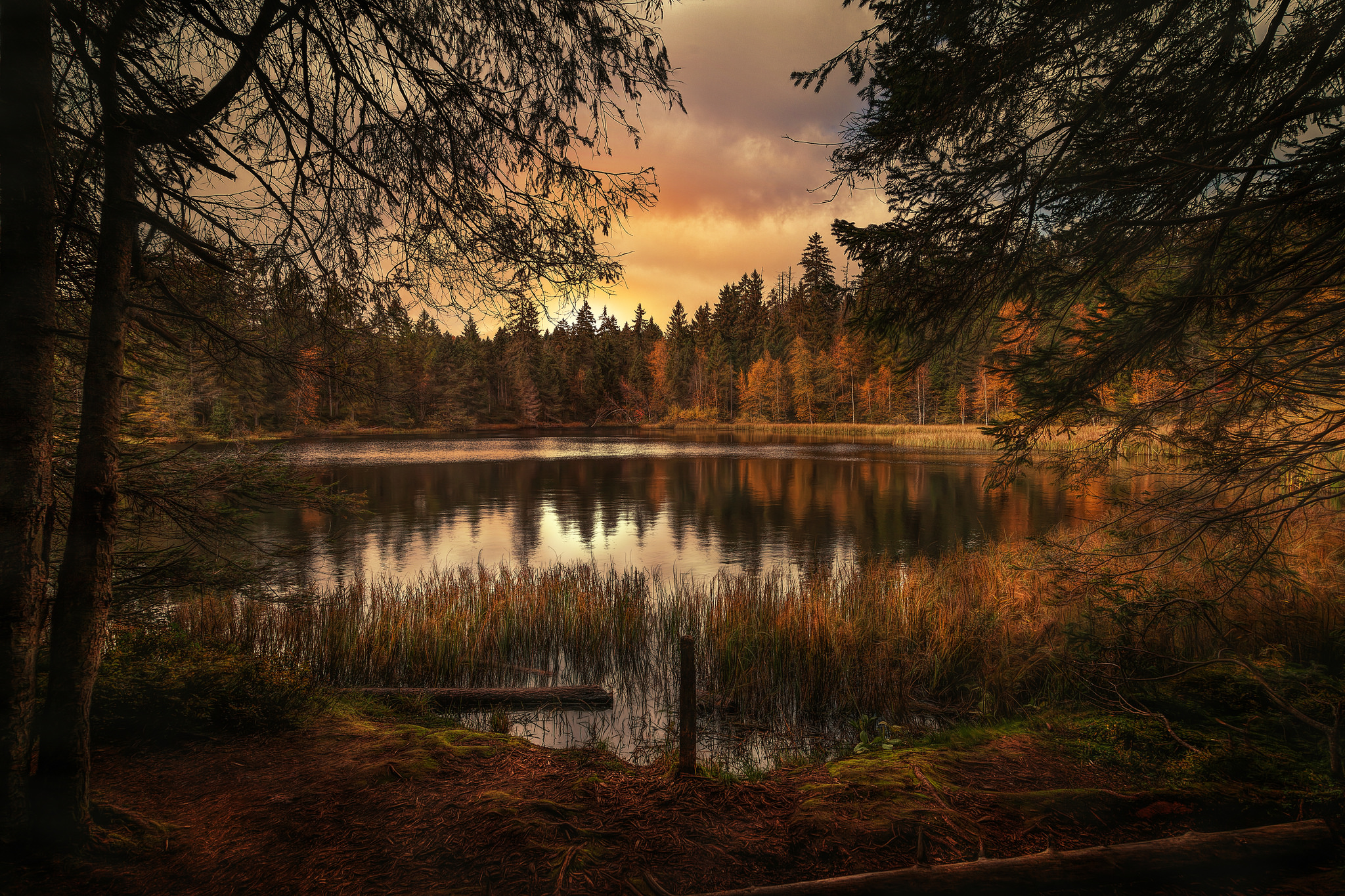 [Image: forest-lake-landscape-kk.jpg]