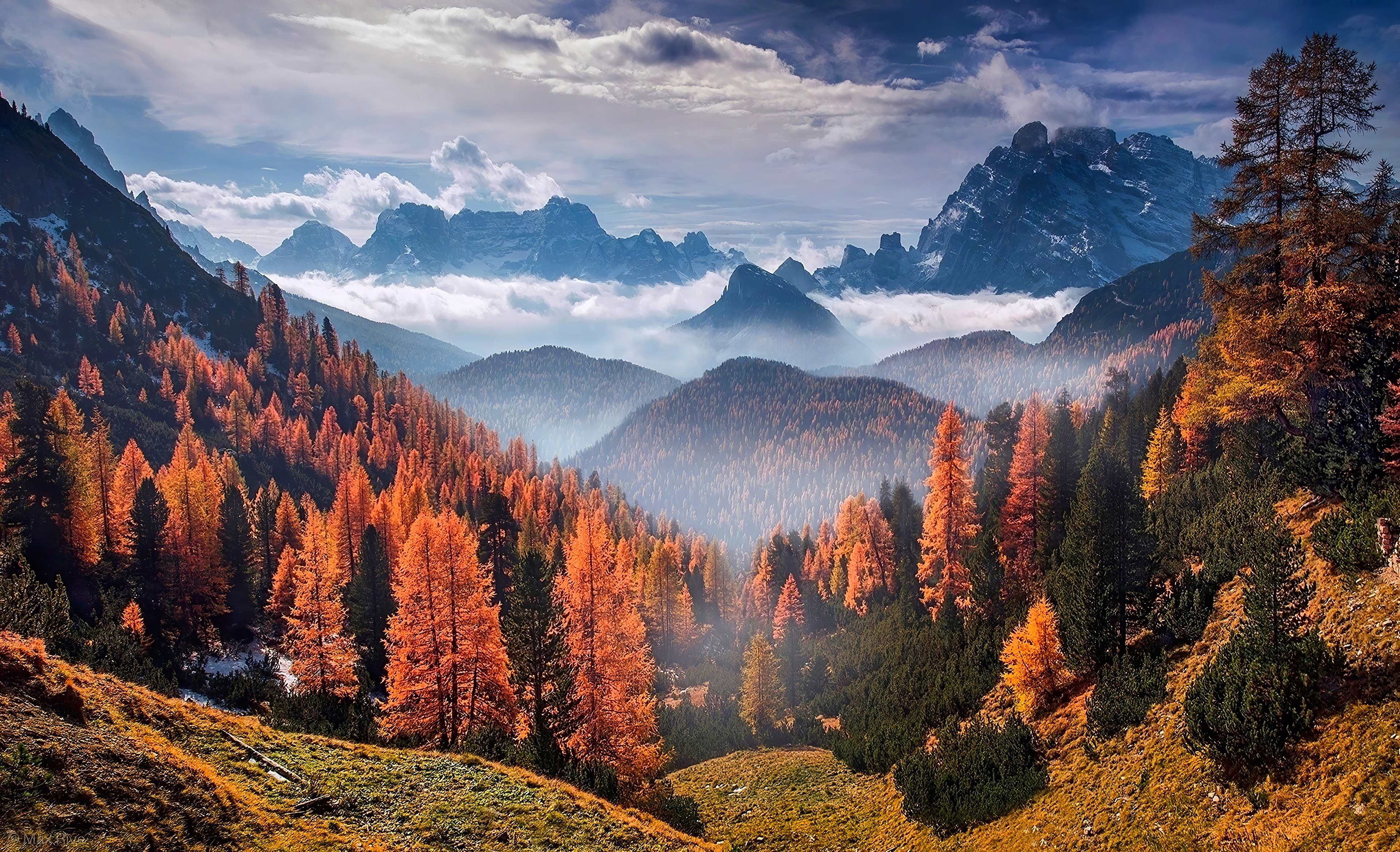 Forest Landscape Clouds 4k, HD Nature, 4k Wallpapers, Images
