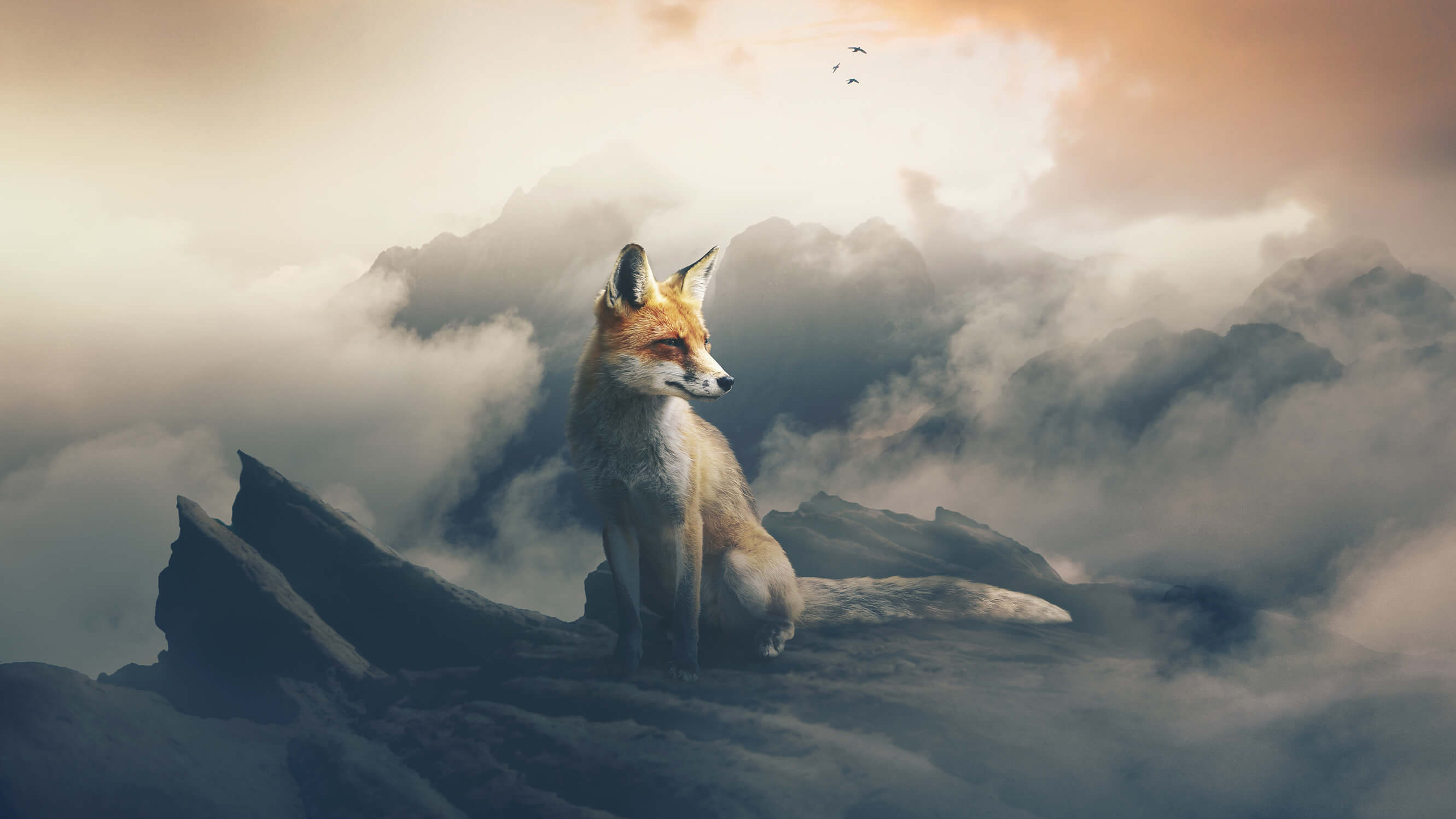 Fox The Observer, HD Artist, 4k Wallpapers, Images, Backgrounds, Photos and  Pictures