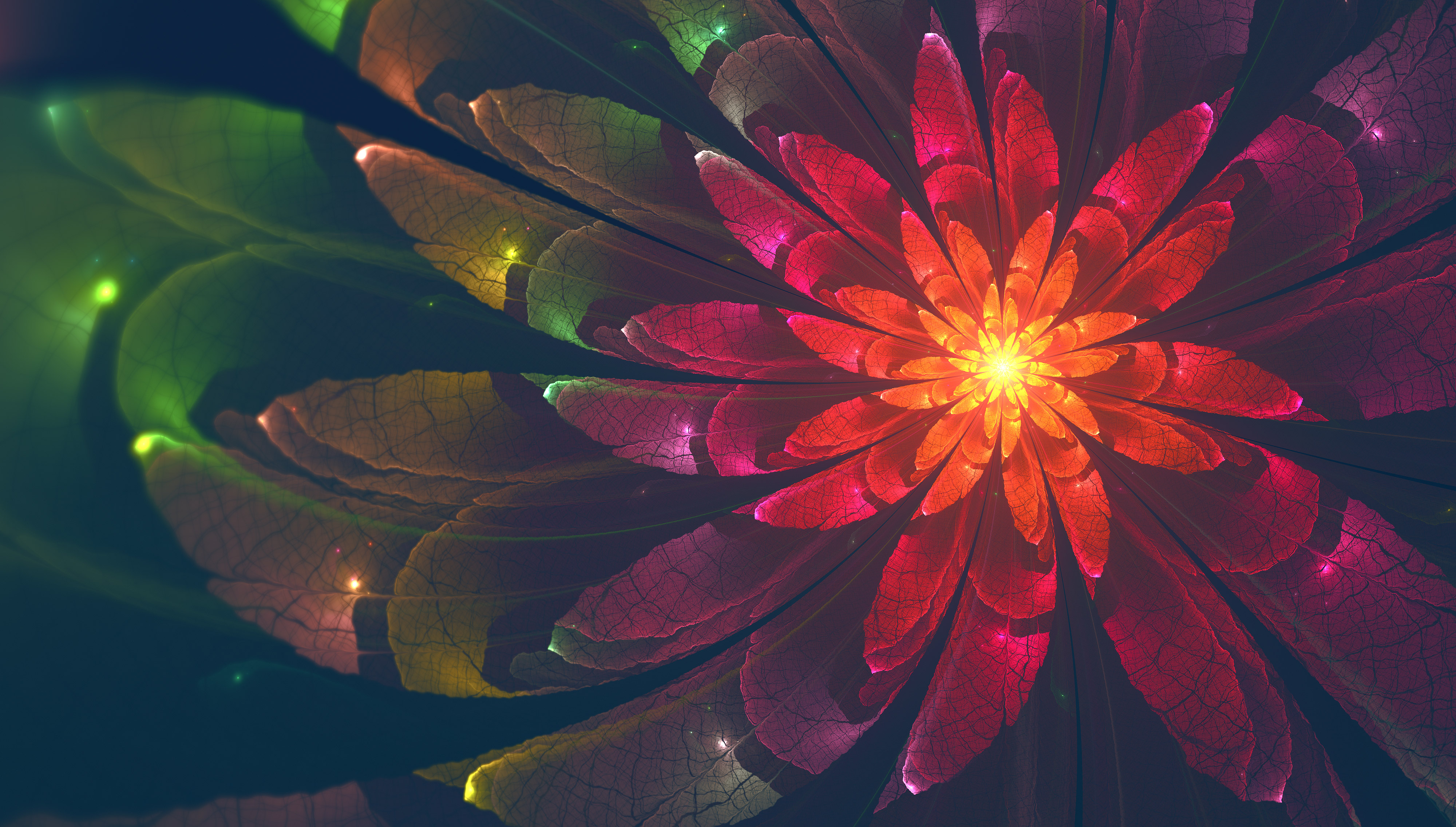 Fractal Flower 4k Hd Abstract 4k Wallpapers Images Backgrounds Photos And Pictures