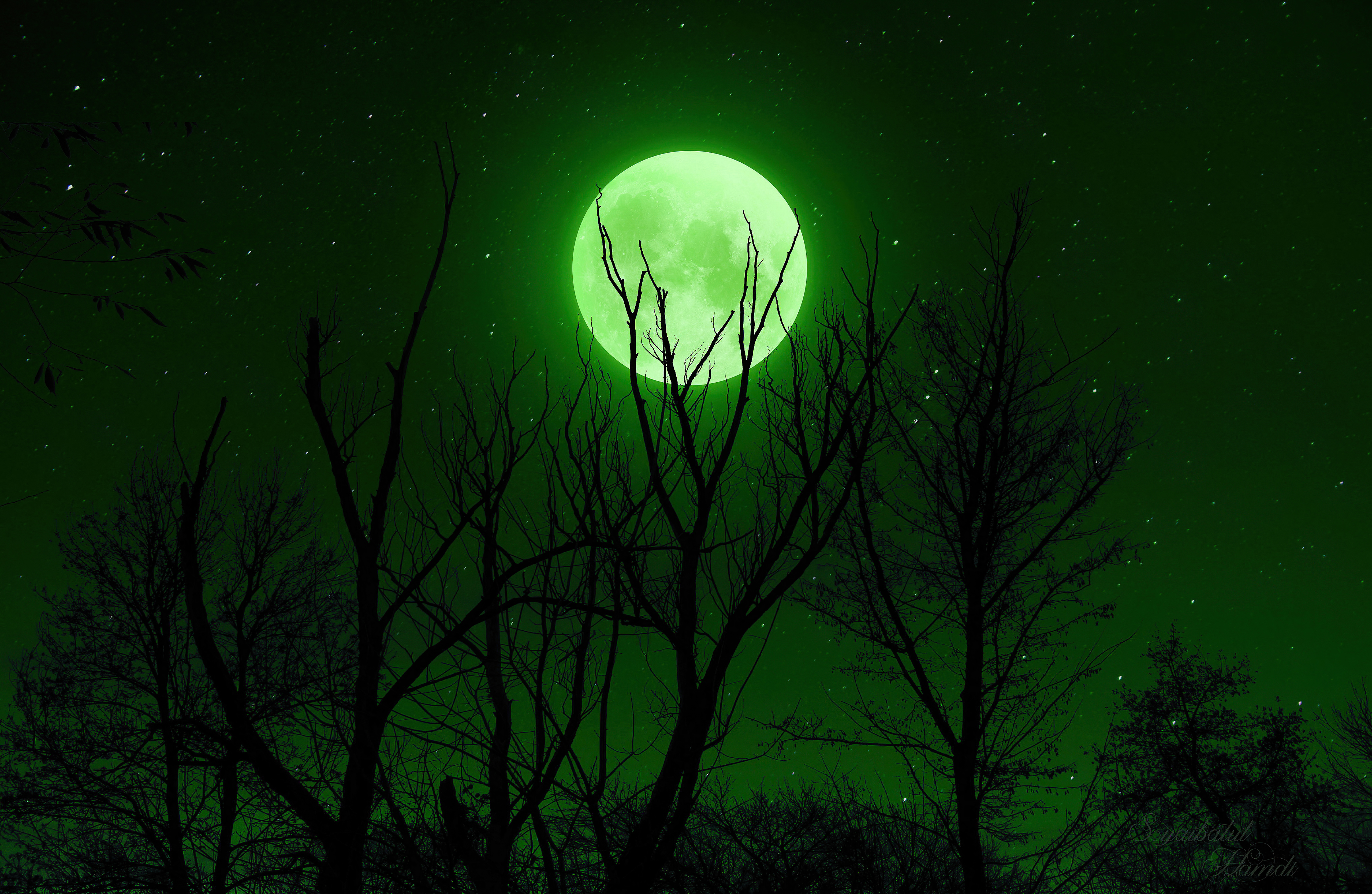 Есть зеленая луна. Зеленая Луна. Зеленая ночь. Природа ночью. Зелёная Луна явление.