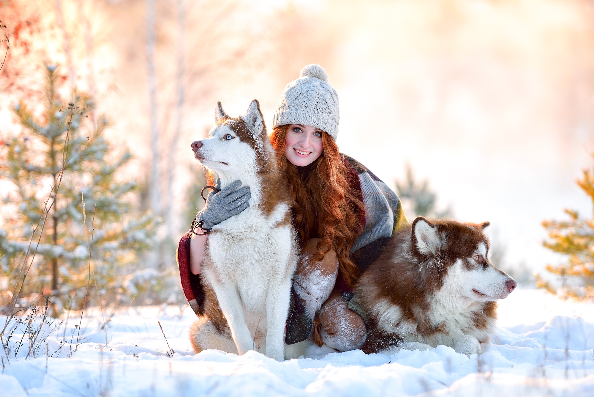 Siberian Husky, HD Girls, 4k Wallpapers