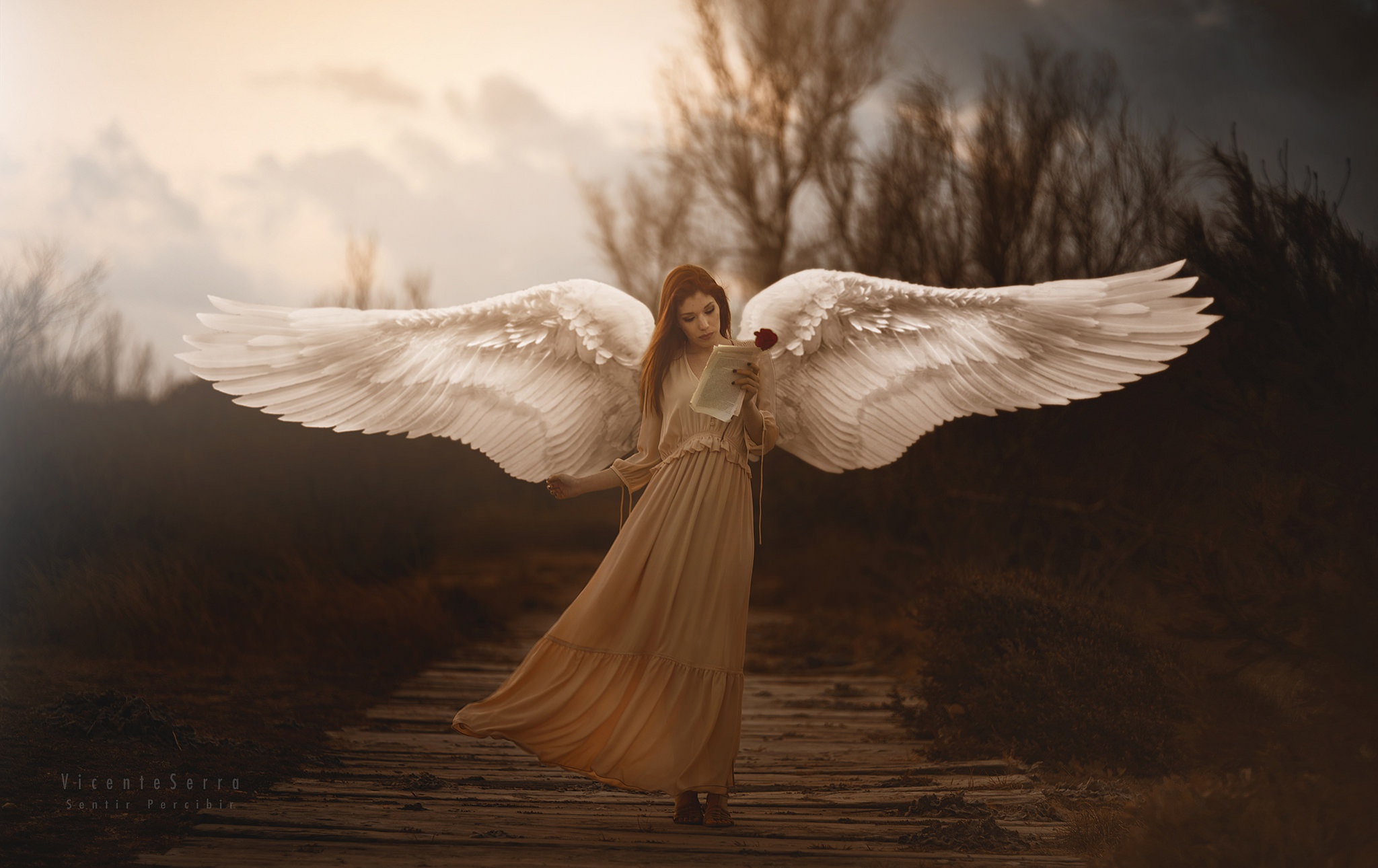 1920x1200 Girl With Wings Angel 1080P Resolution ,HD 4k Wallpapers ...