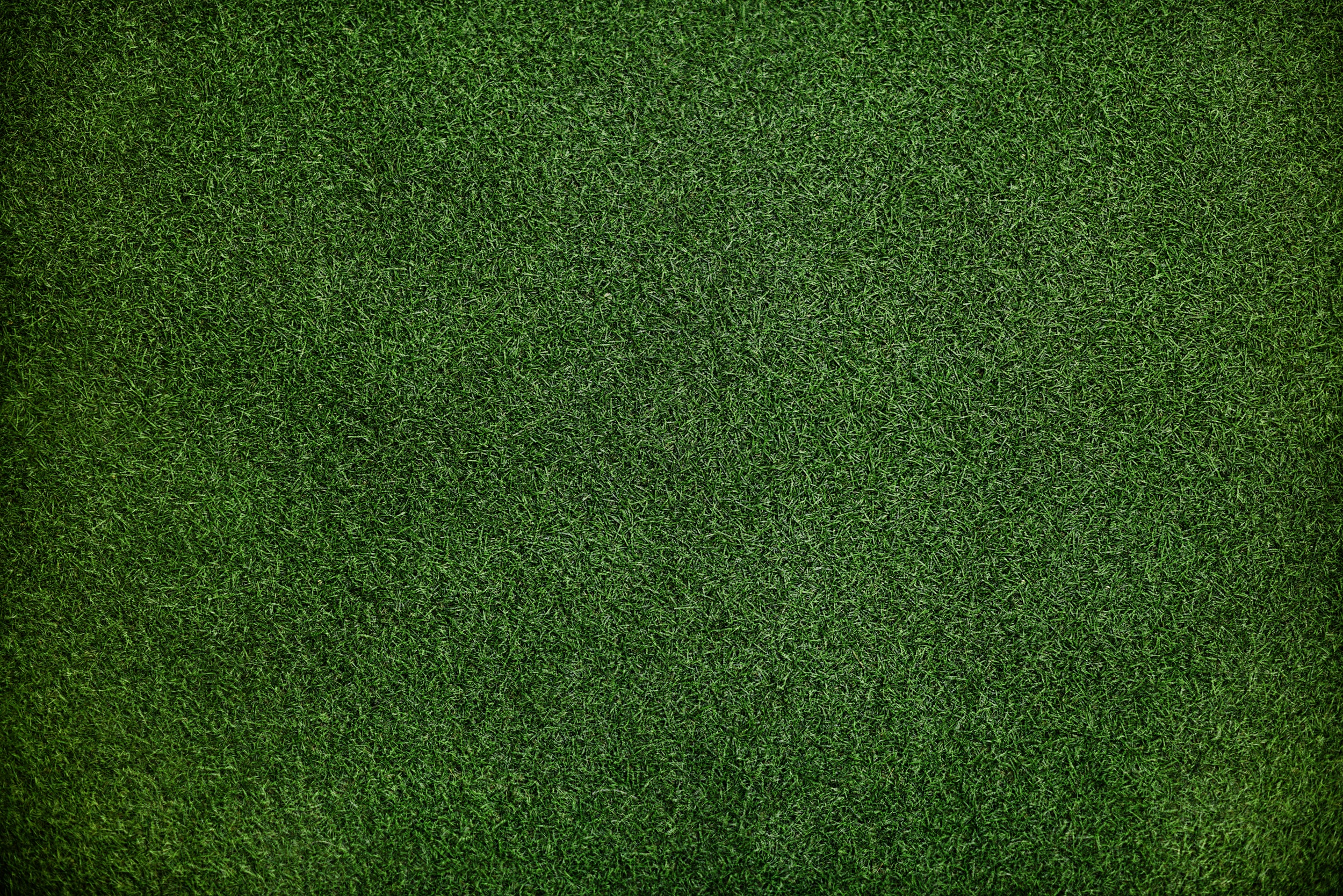 Grass Background, HD Abstract, 4k Wallpapers, Images, Backgrounds