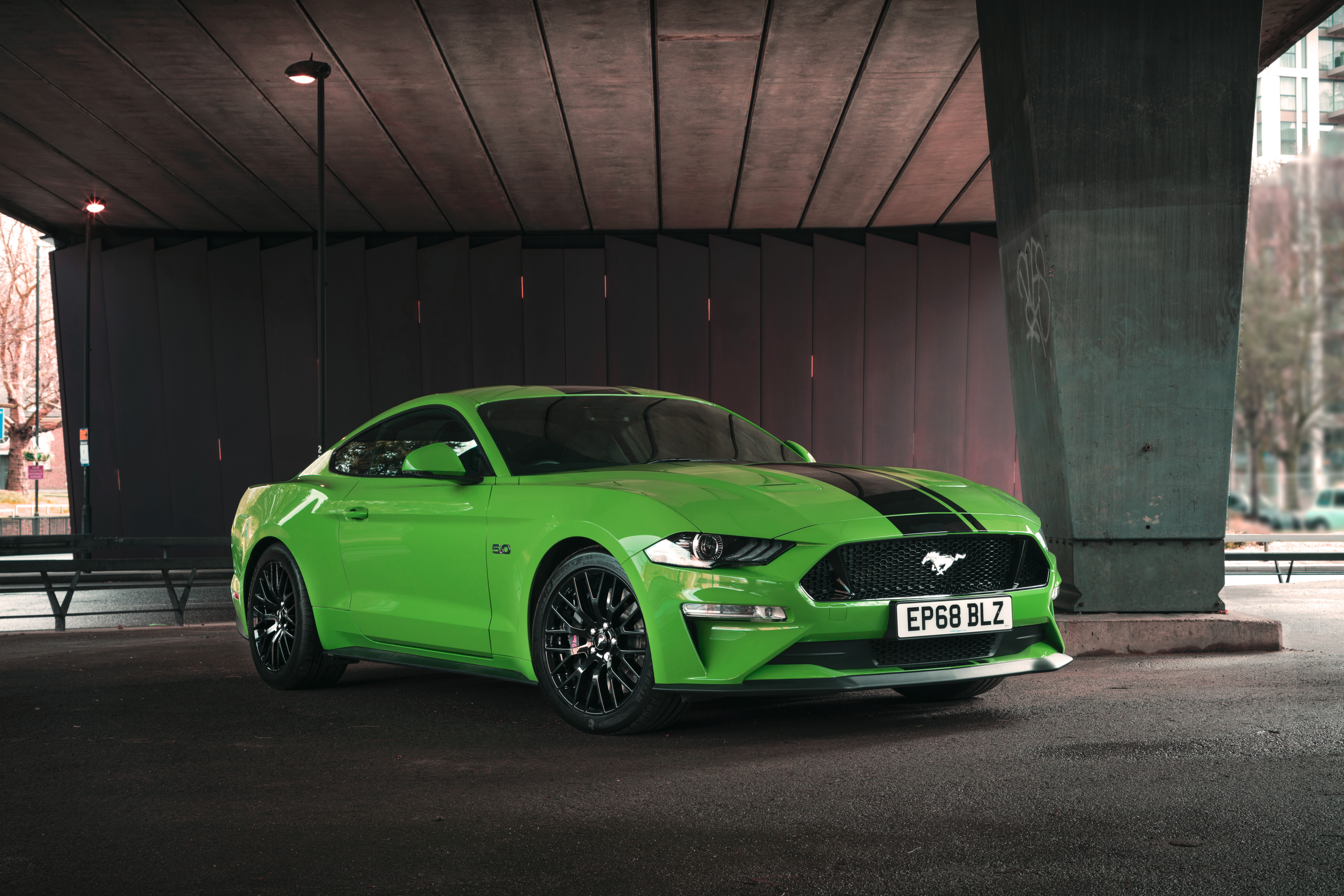 Green Ford Mustang Gt Fastback 2019 Hd Cars 4k Wallpapers Images Backgrounds Photos And Pictures