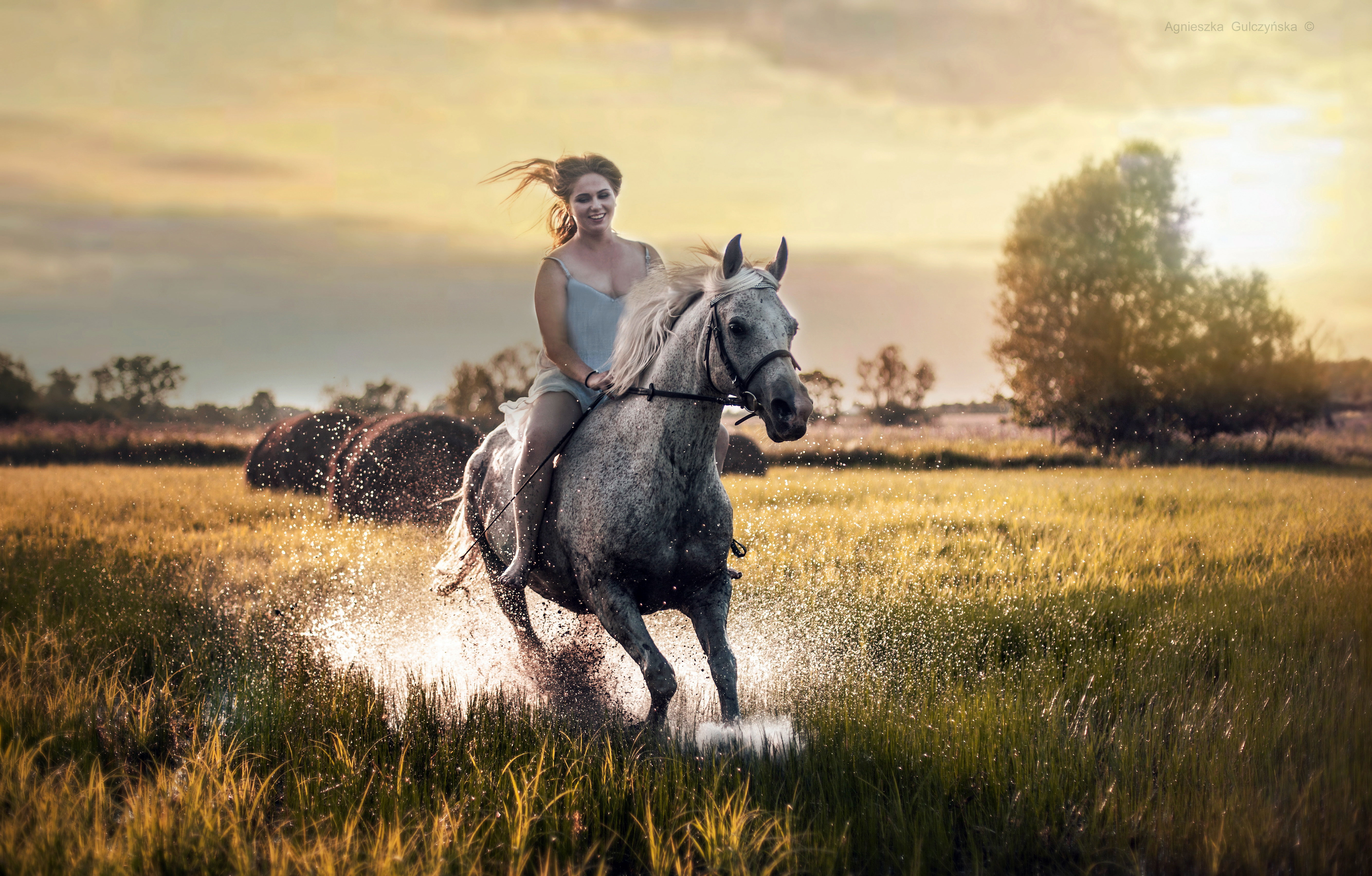 Photography Horse Riding Wallpaper