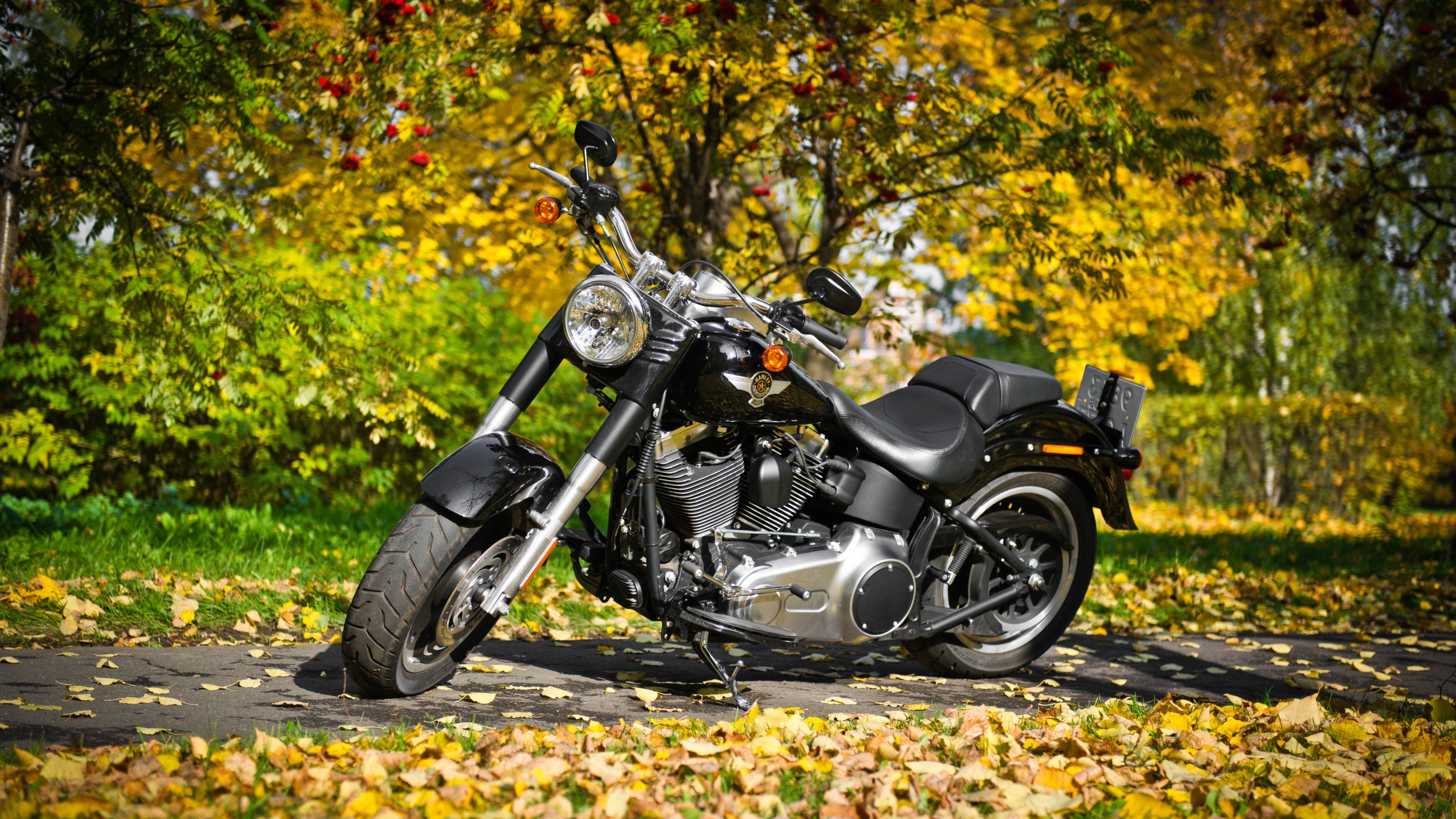 Harley Davidson Motorcycle 2, HD Bikes, 4k Wallpapers, Images, Backgrounds,  Photos and Pictures