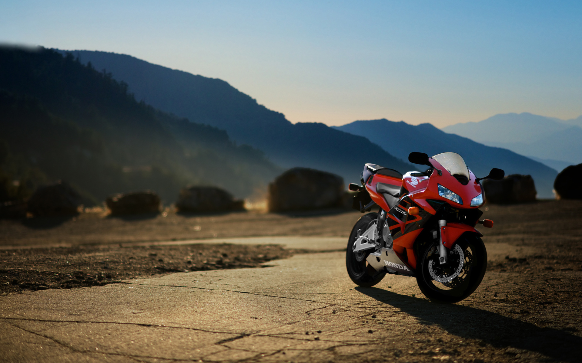Honda CBR 600RR, HD Birds, 4k Wallpapers, Images, Backgrounds, Photos and  Pictures