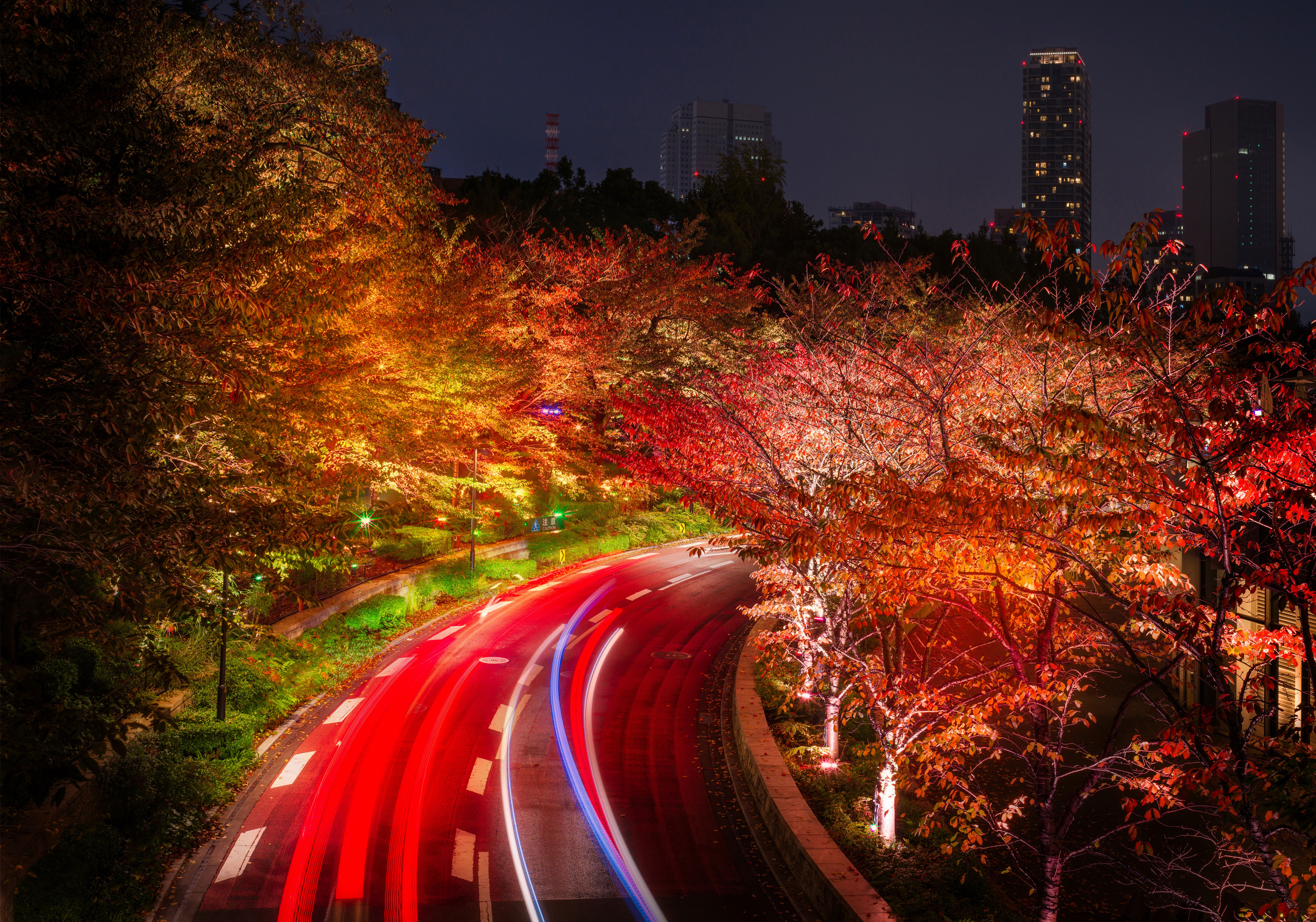 Japan Tokyo Roads Autumn Trees Night, HD Nature, 4k Wallpapers, Images,  Backgrounds, Photos and Pictures