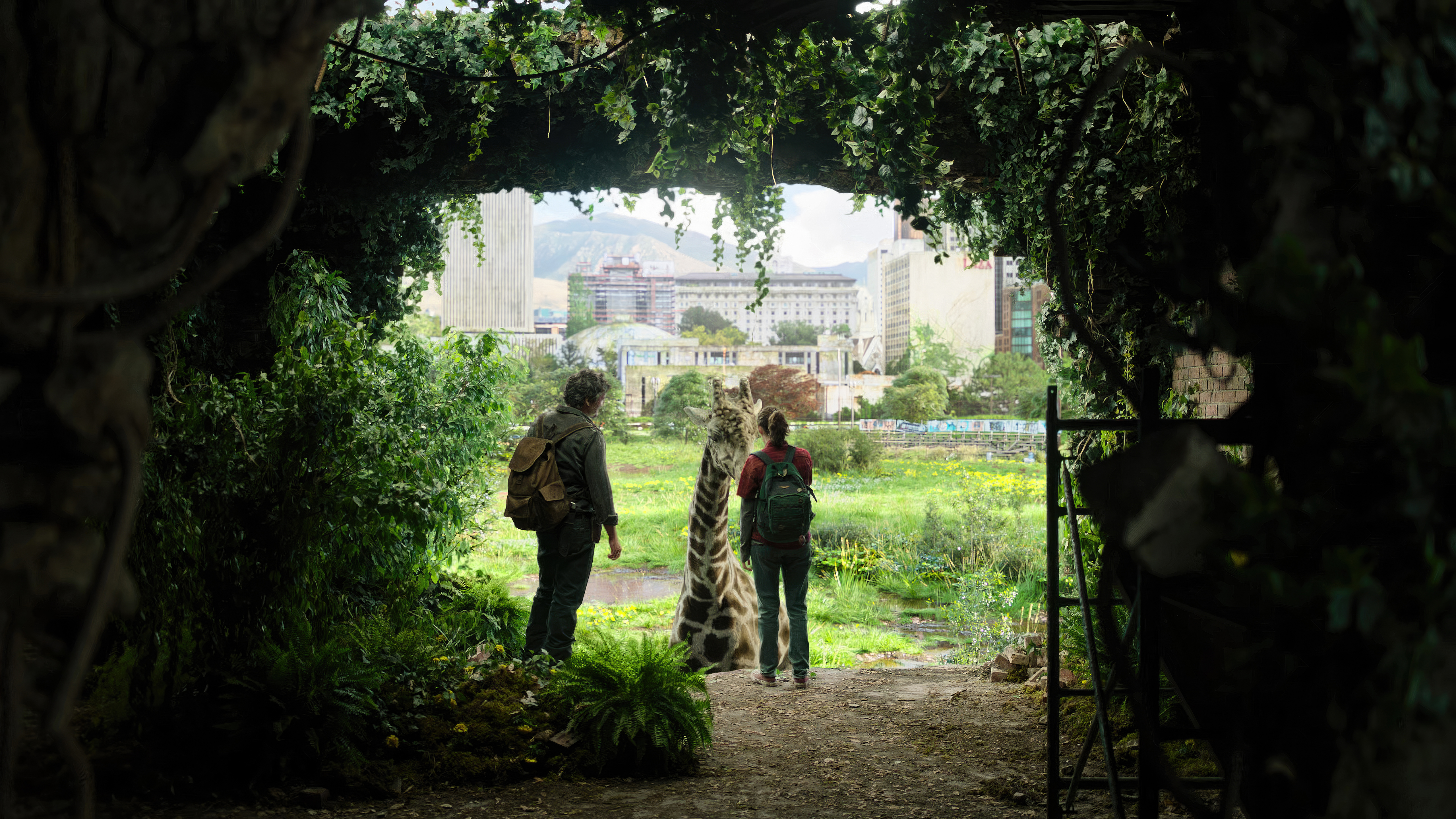 wallpaper e fotos em HD: ellie joel in the last of us