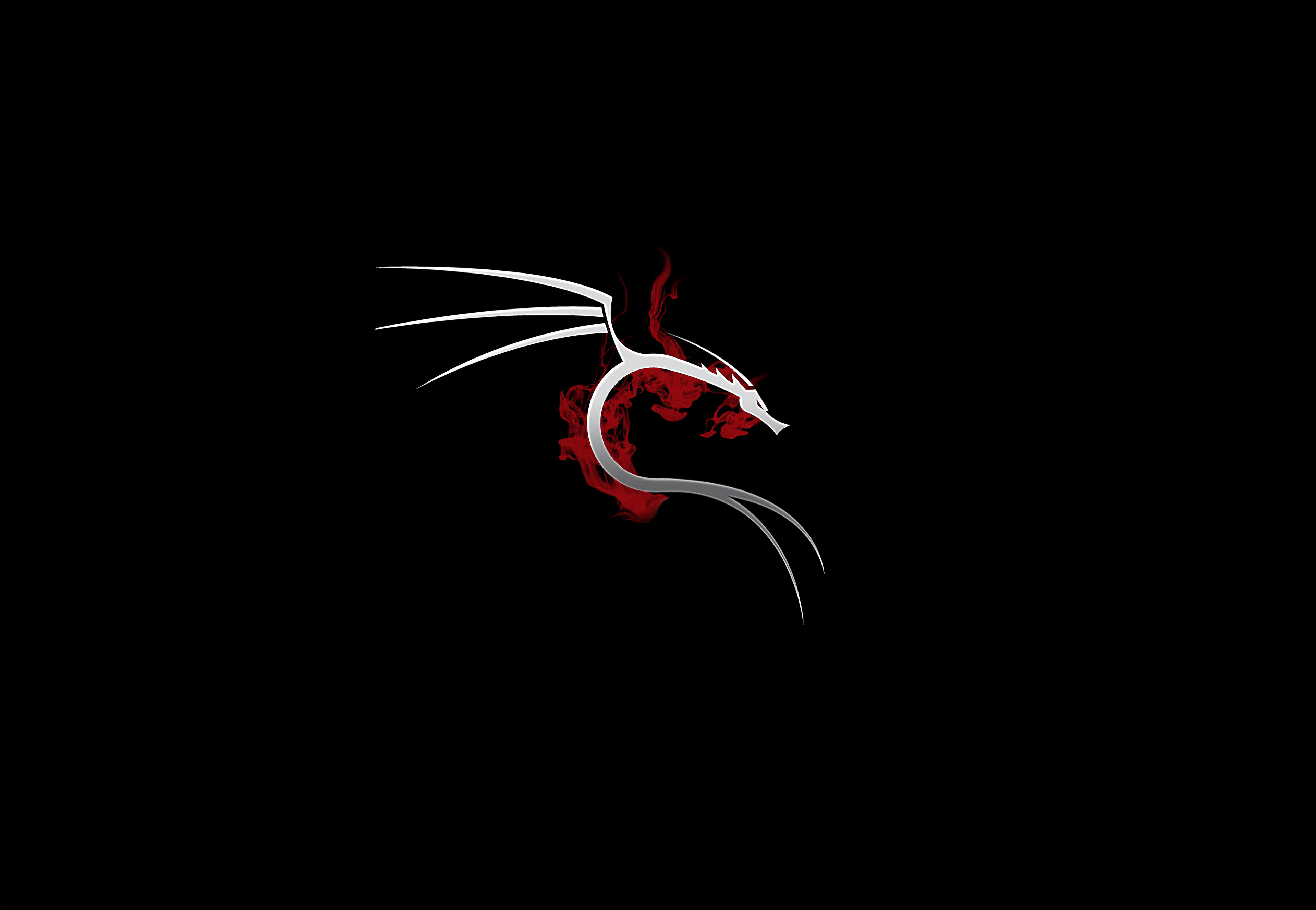 2932x2932 Kali Linux 4k Ipad Pro Retina Display Hd 4k Wallpapers Images Backgrounds Photos And Pictures