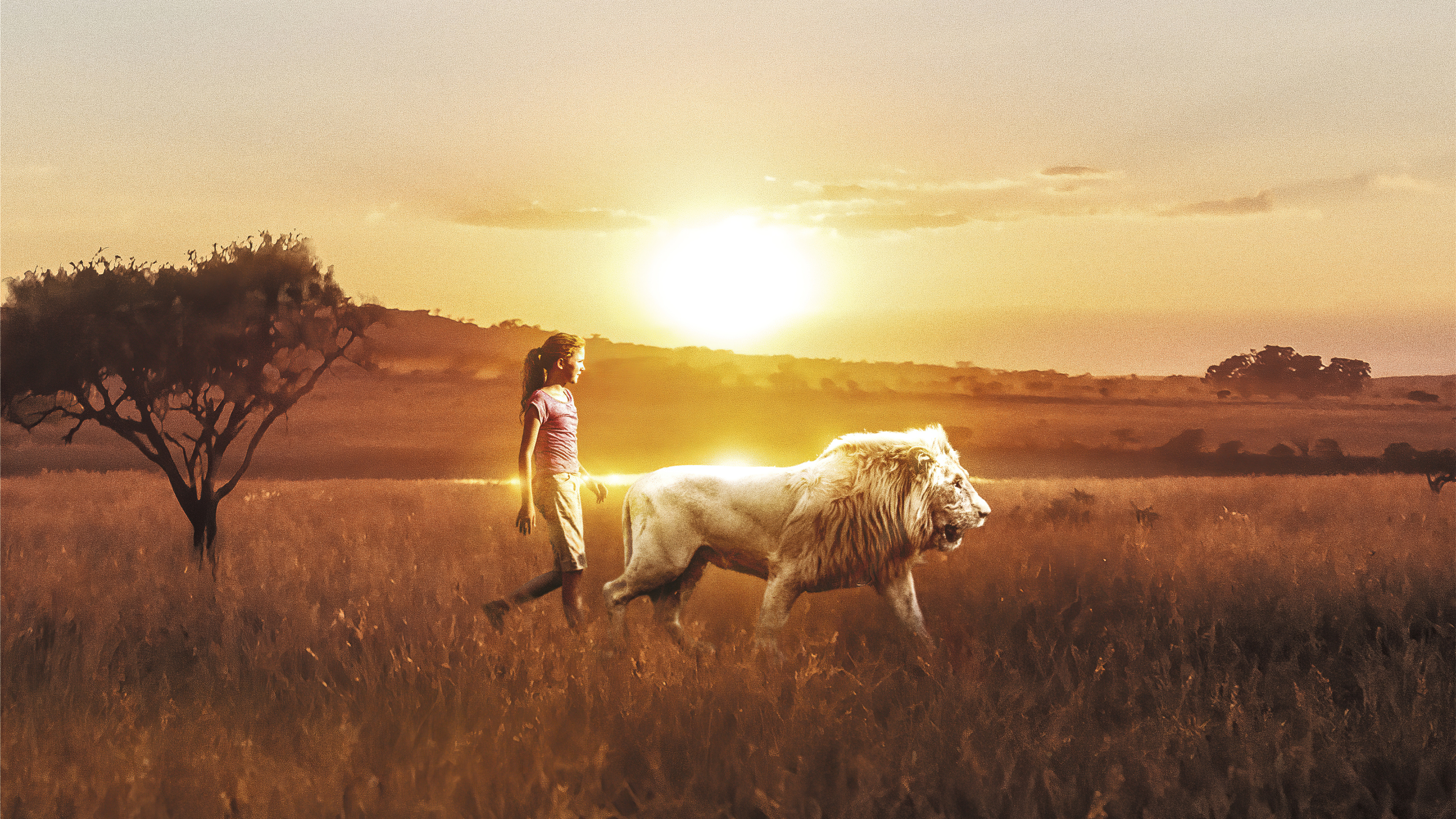 Mia And The White Lion, HD Movies, 4k Wallpapers, Images, Backgrounds,  Photos and Pictures
