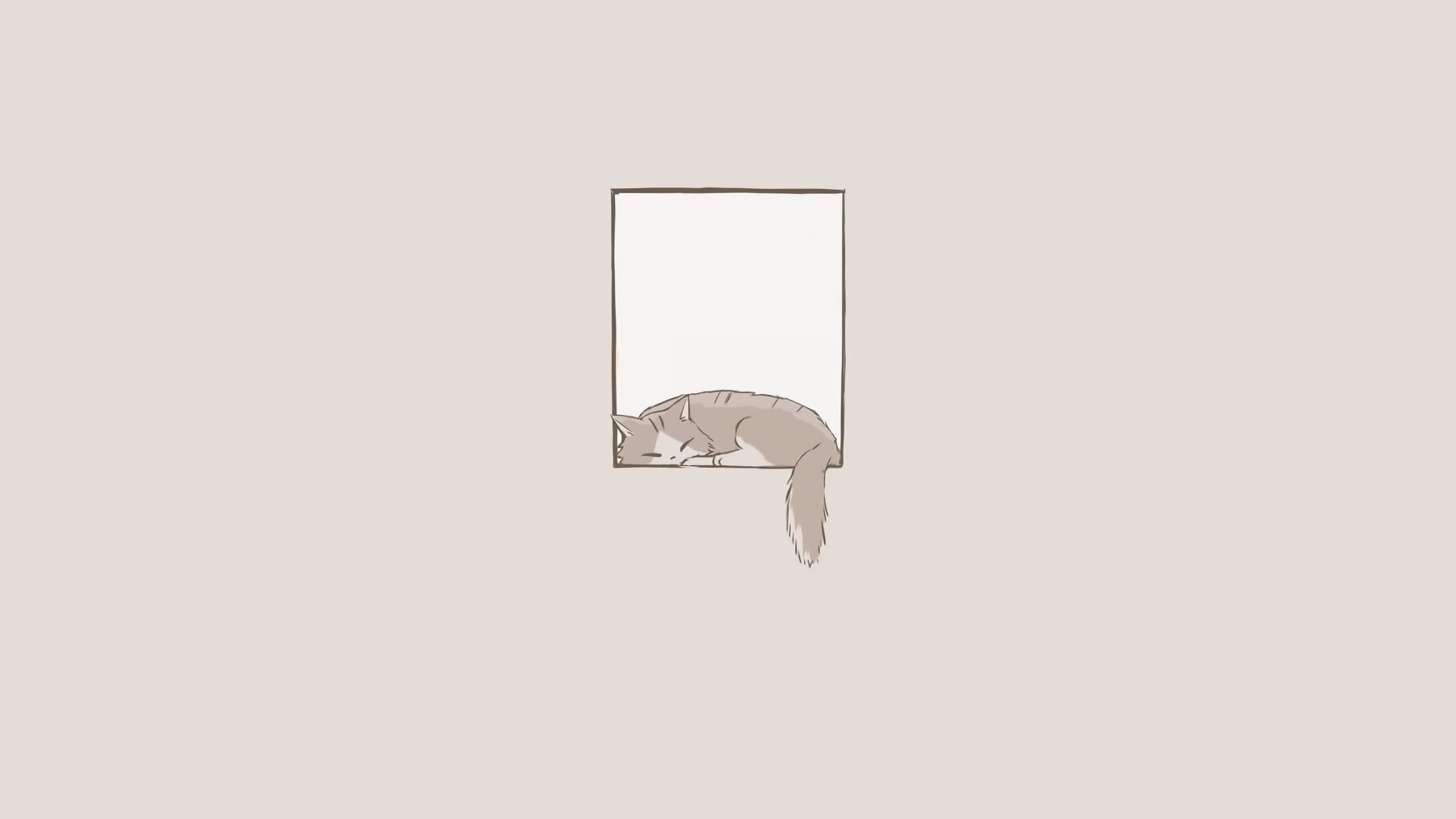 Minimalist Cat Window Sleeping K Wallpaper Hd Artist Wallpapers K