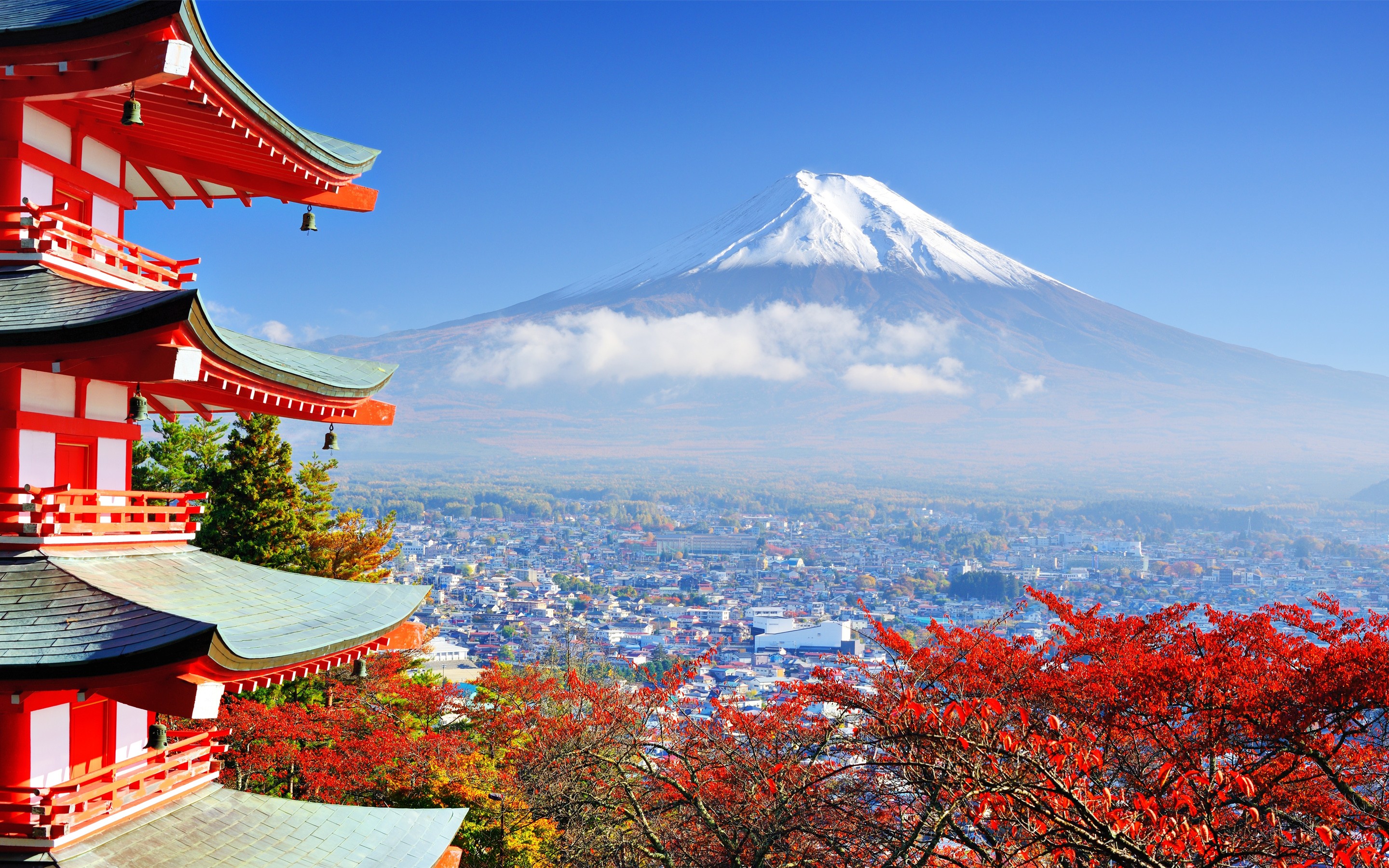 Mount Fuji Wallpaper Images - Free Download on Freepik