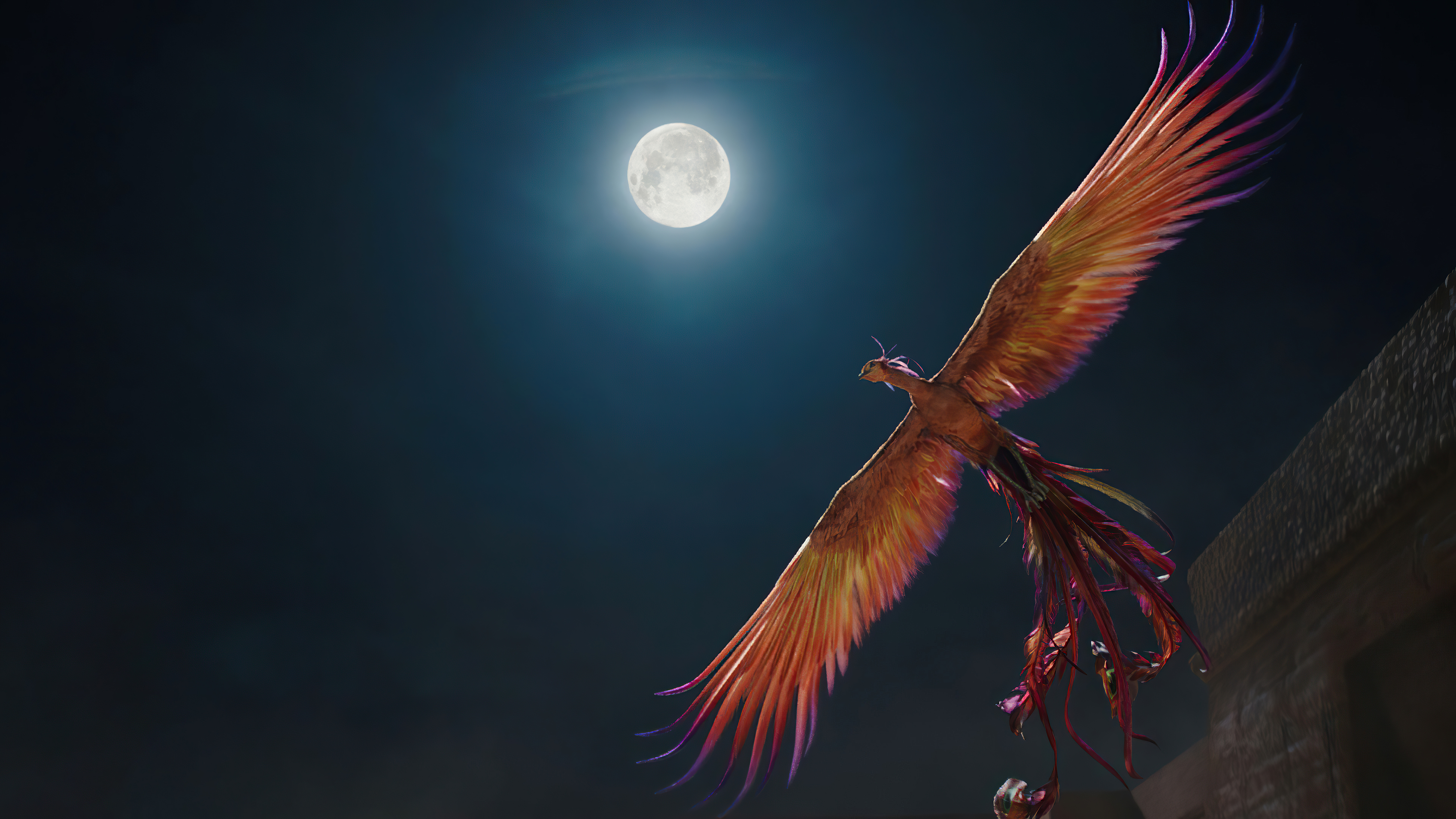 1360x768 Mulan Phoenix 5k Laptop HD HD 4k Wallpapers, Images, Backgrounds,  Photos and Pictures