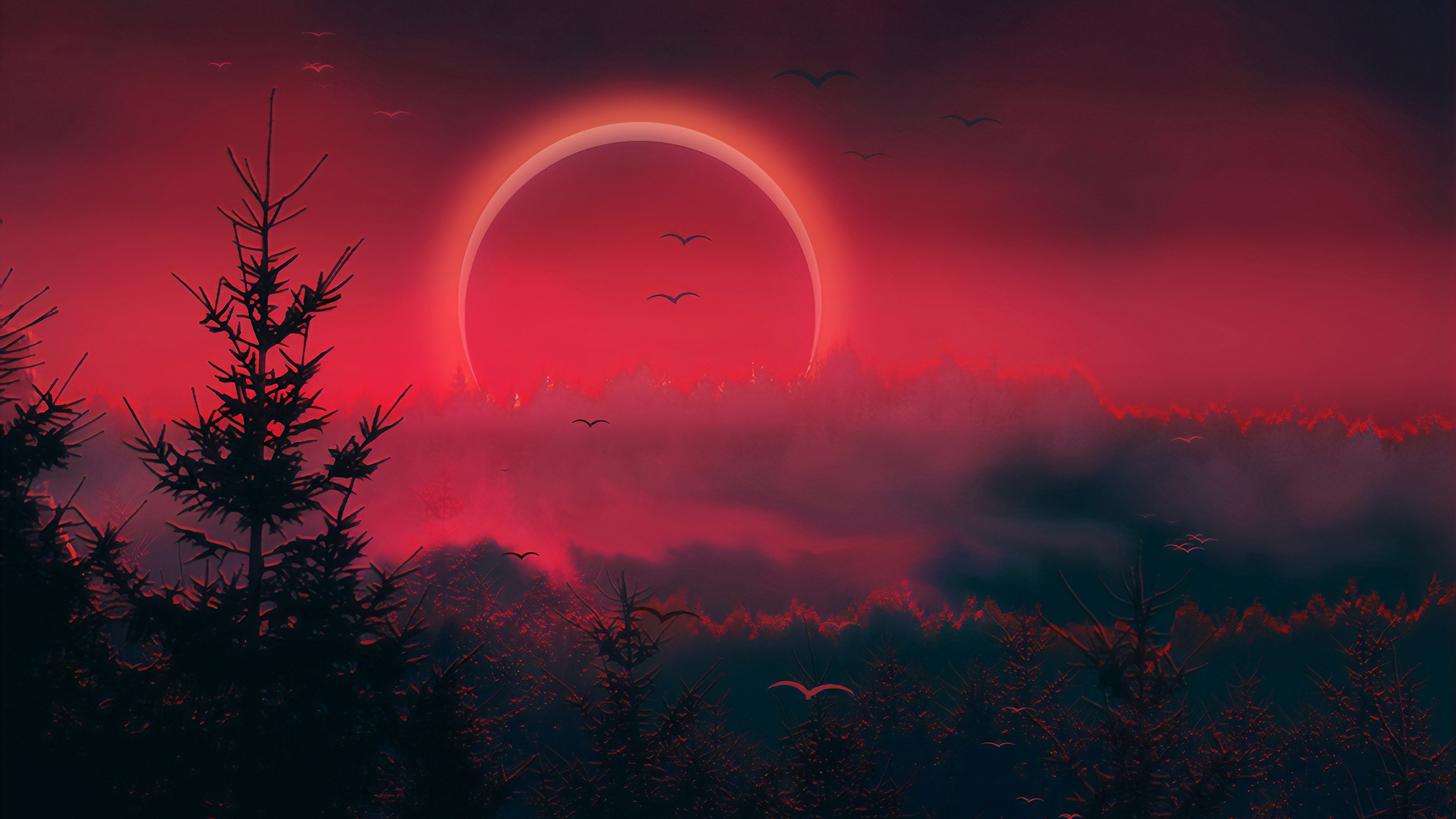  Solar Eclipse HD Wallpapers Space Nature Wallpaper Full Free Download