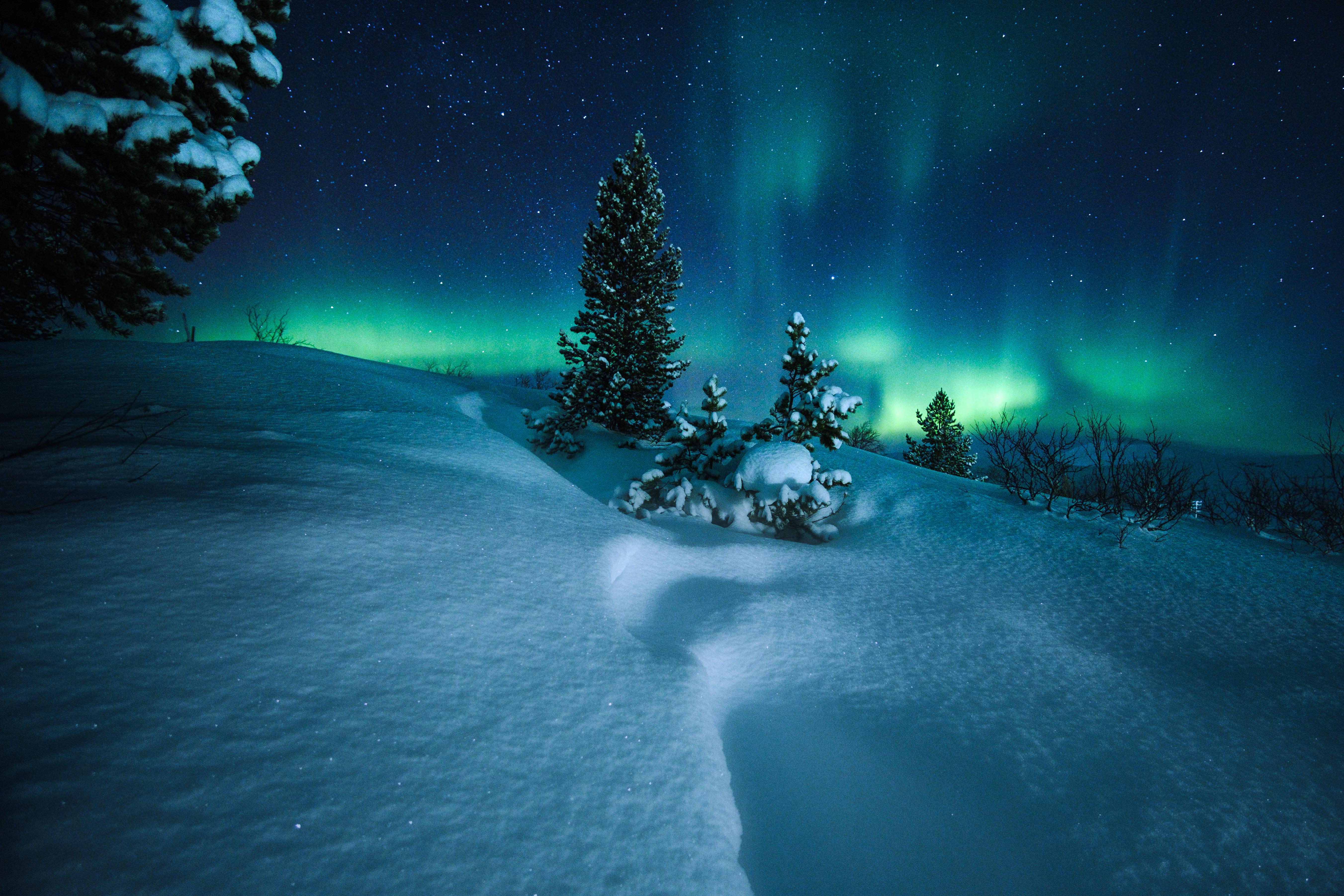 Красивая зима ночь. Северное сияние зимняя природа Норвегии. Зима ночь. Зимний ночной пейзаж. Снежная ночь.
