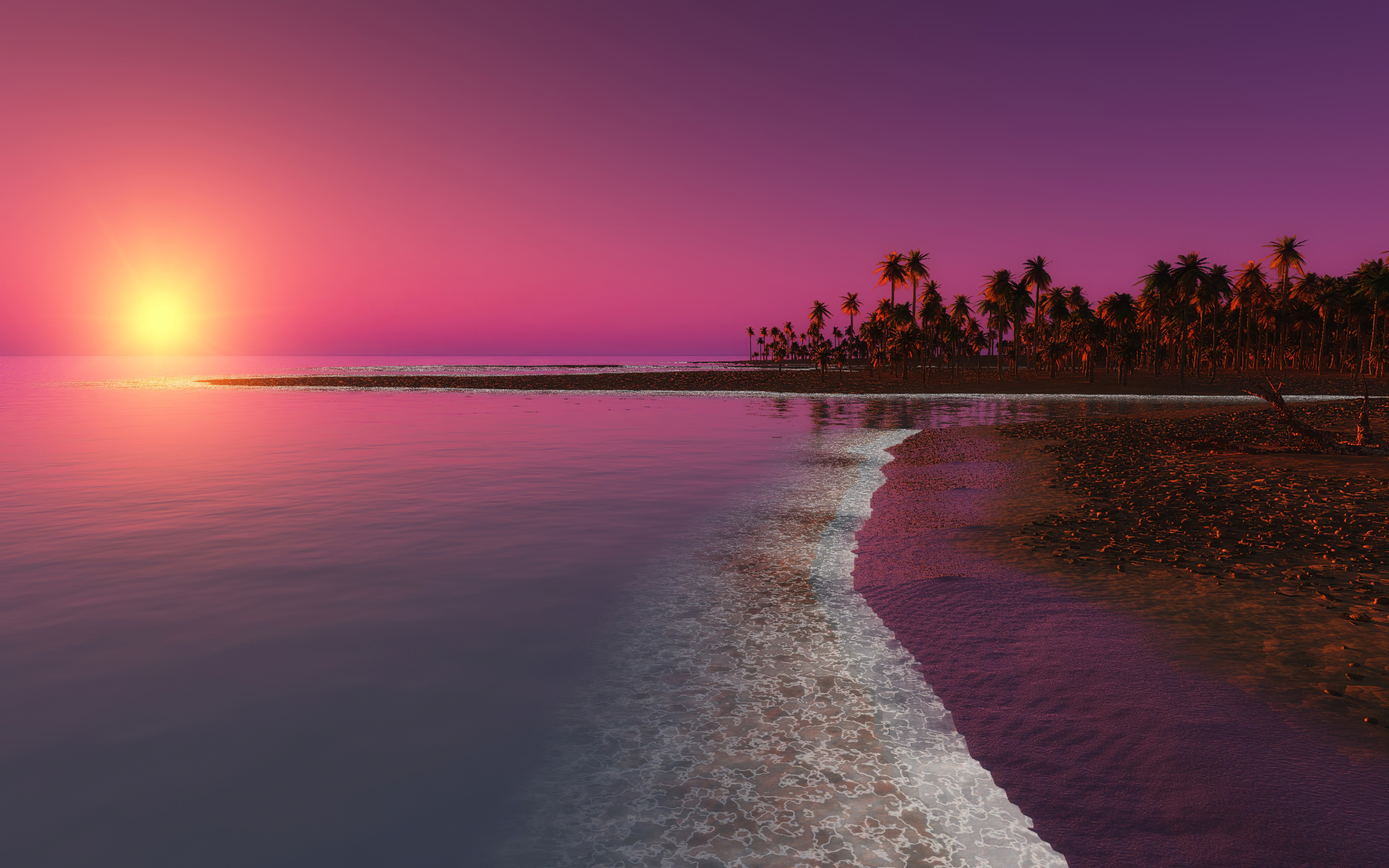 Sunset Palm Tree Cloud Sky Reflection 4k Ultra Hd Mobile Wallpaper - Vrogue