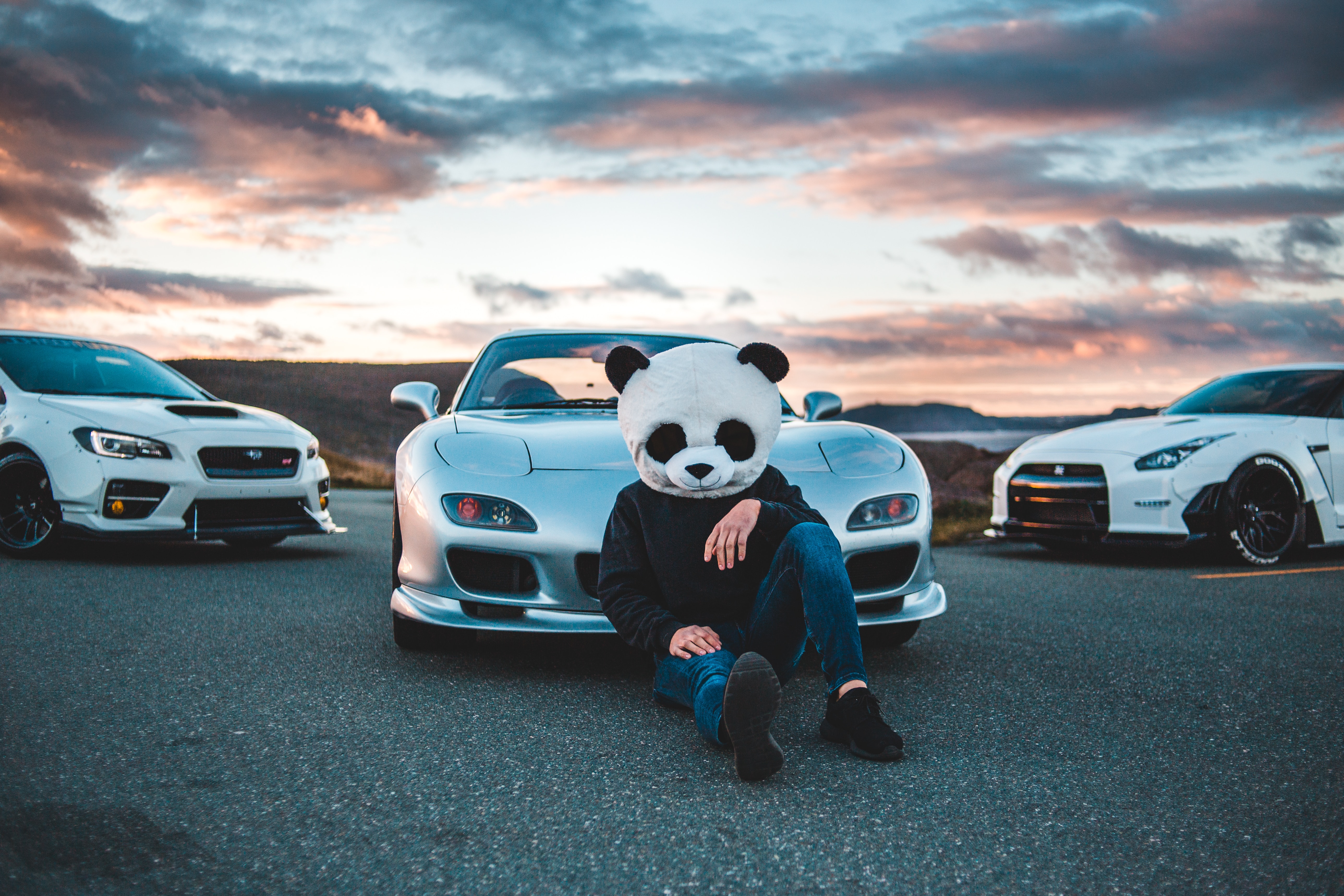Panda Boy With Cars 5k, HD Photography, 4k Wallpapers, Images, Backgrounds,  Photos and Pictures