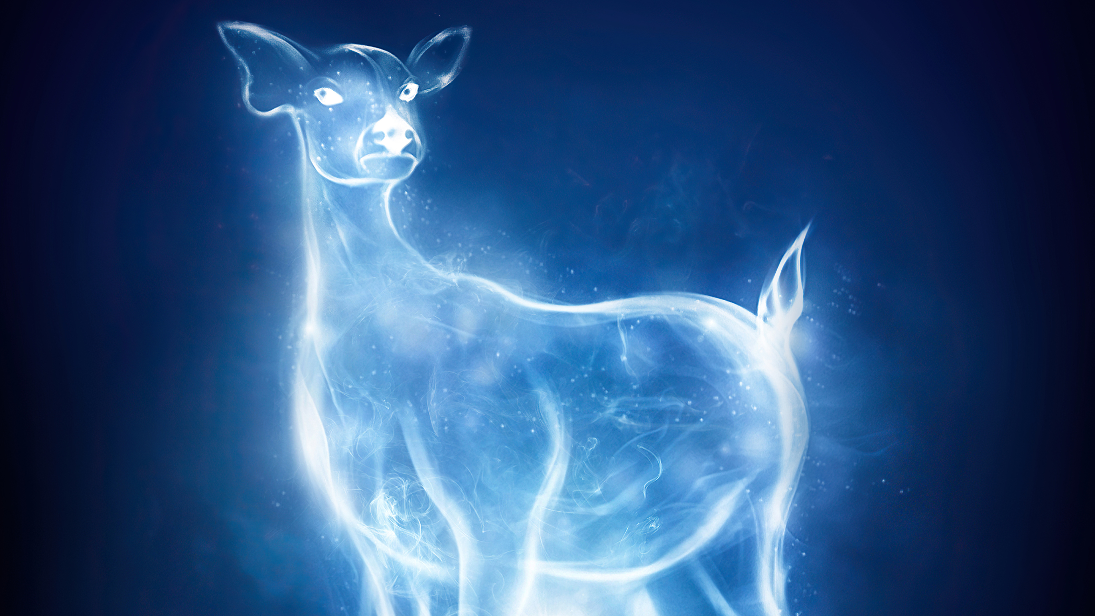 Patronus Charm Harry Potter And Fantastic Beasts, HD Movies, 4k Wallpapers,  Images, Backgrounds, Photos and Pictures