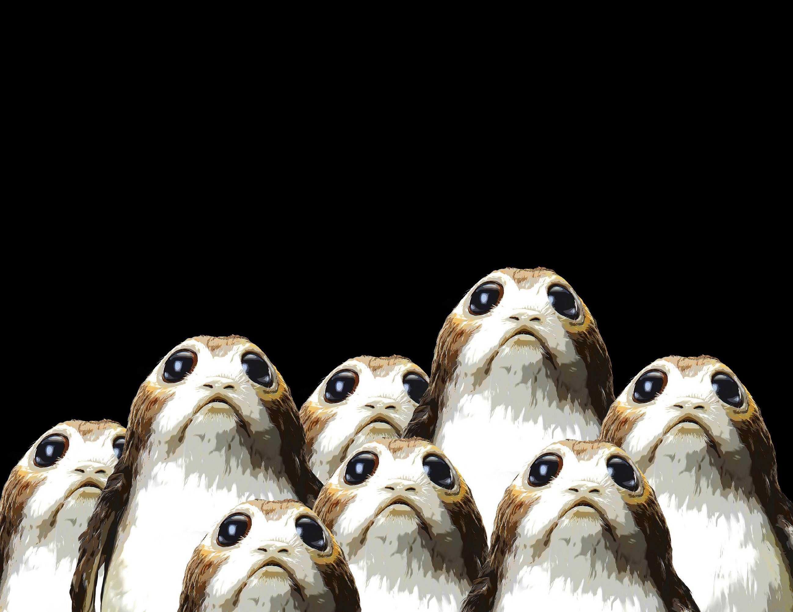 Porgs Star Wars The Last Jedi Poster, HD Movies, 4k Wallpapers, Images