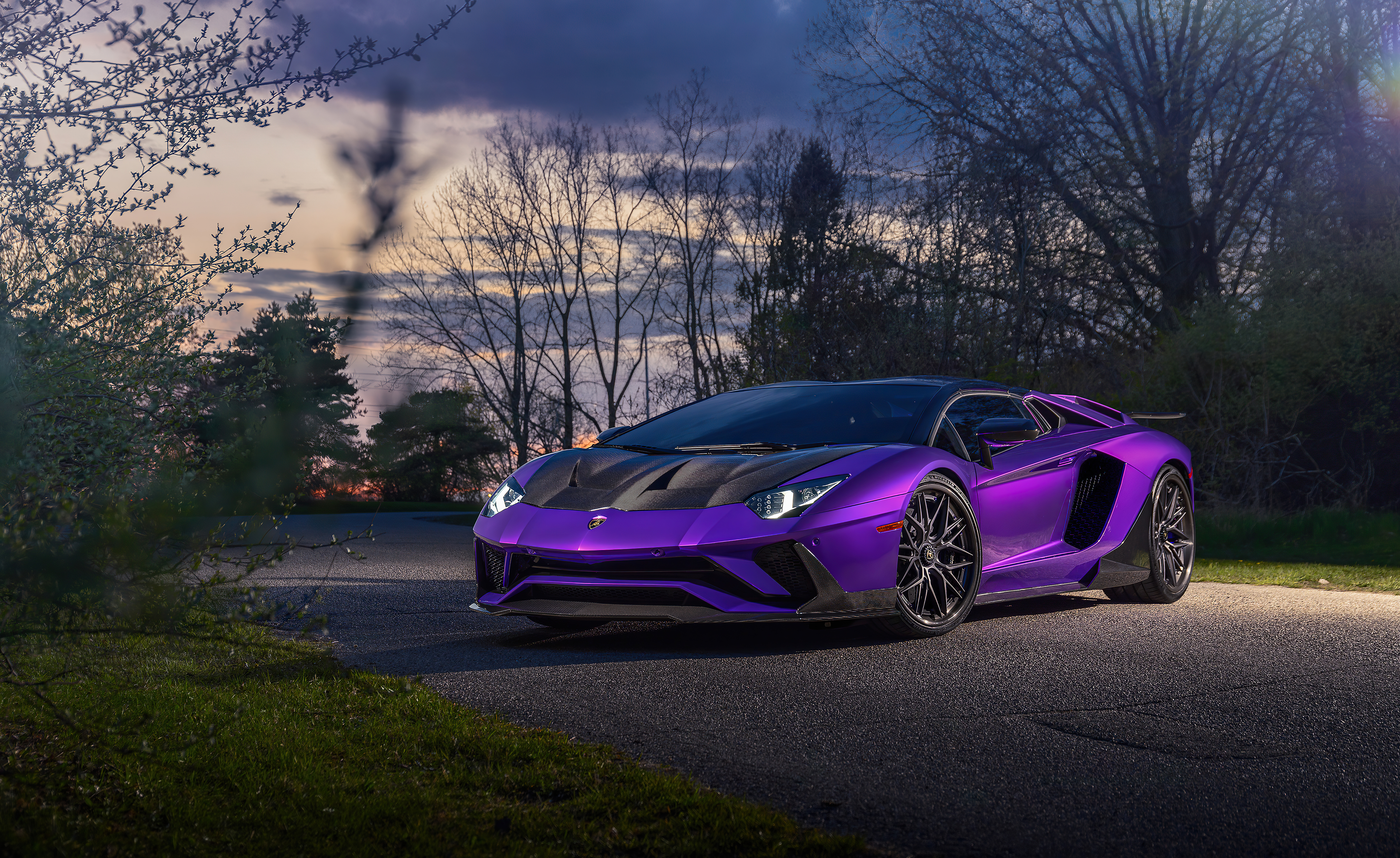 240x400 Purple Lamborghini Aventador 5k Acer E100,Huawei,Galaxy S Duos,LG  8575 Android HD 4k Wallpapers, Images, Backgrounds, Photos and Pictures