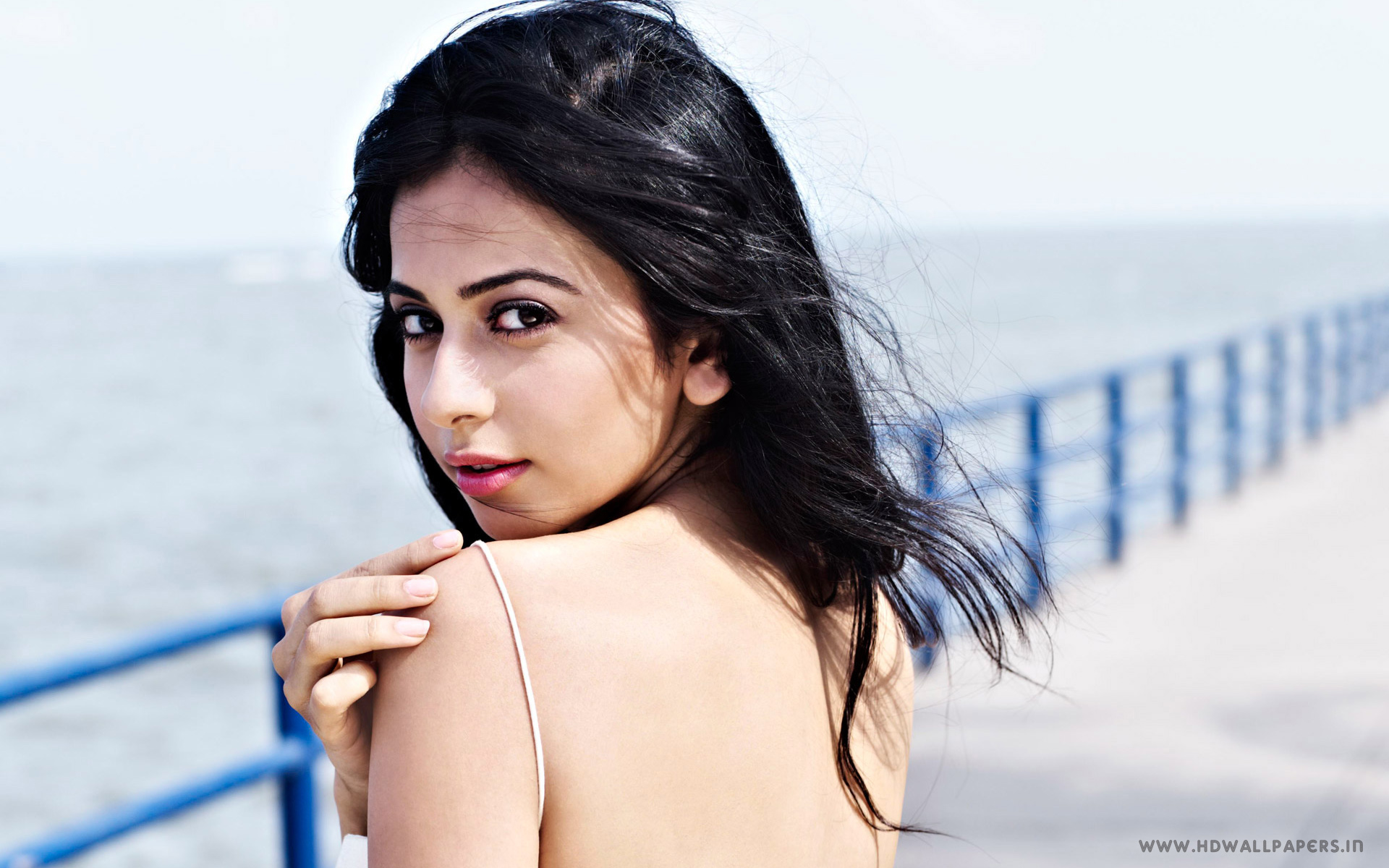 Rakul Preet Singh Backless, HD Indian Celebrities, 4k Wallpapers, Images,  Backgrounds, Photos and Pictures
