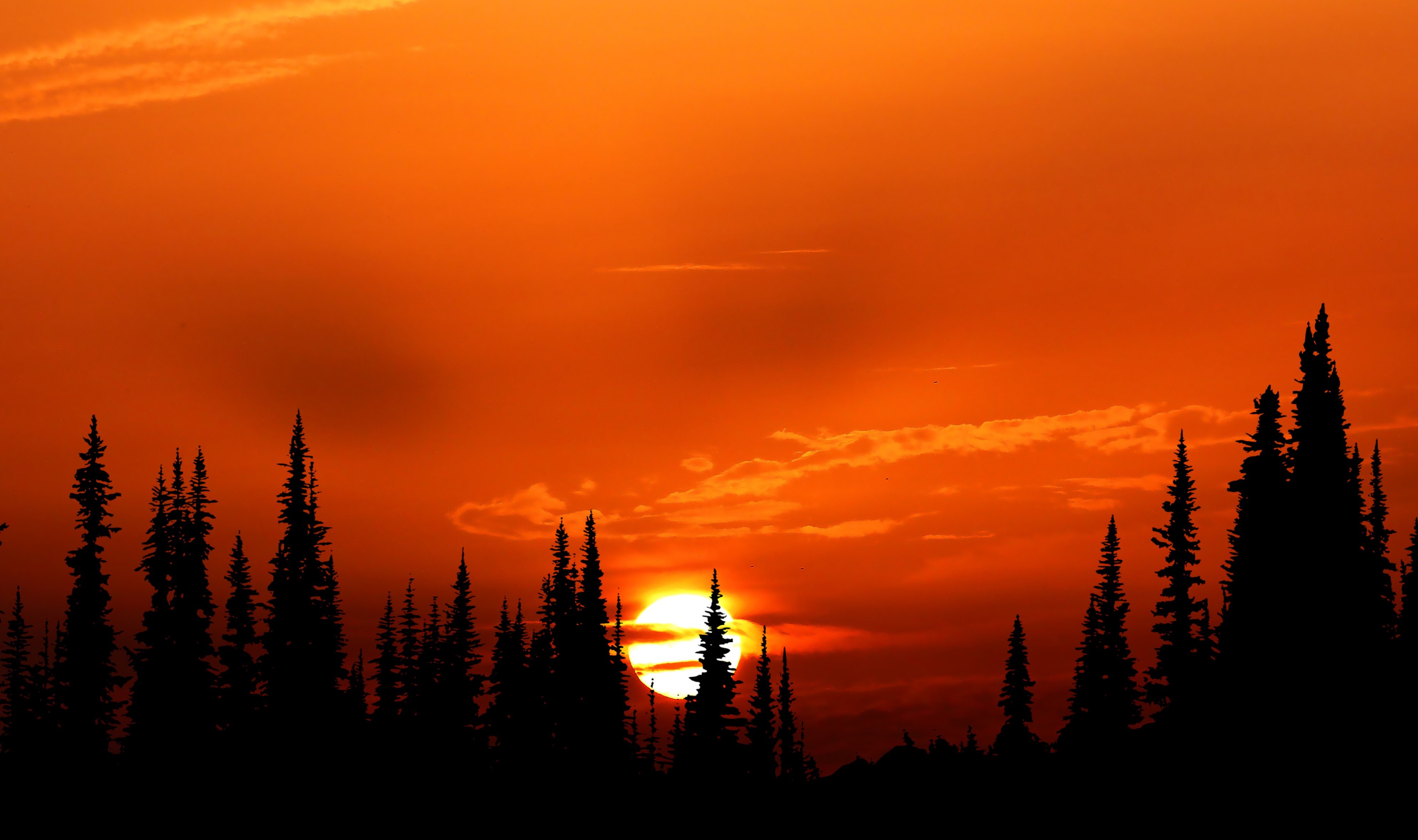 Relaxing Orange Sunset Evening 4k Hd Nature 4k Wallpapers Images