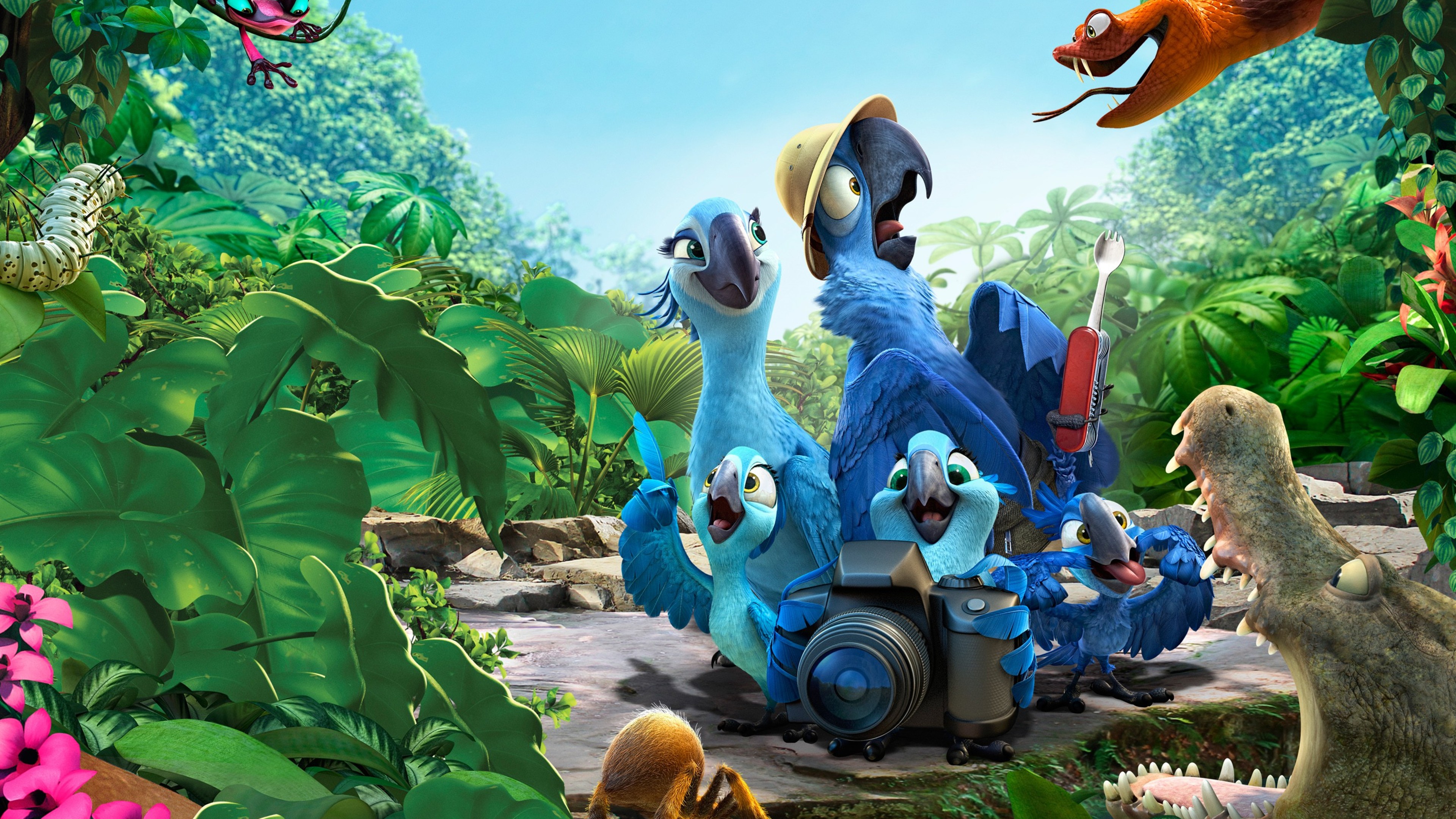 Rio 2 Movie HD, HD Movies, 4k Wallpapers, Images, Backgrounds, Photos and  Pictures