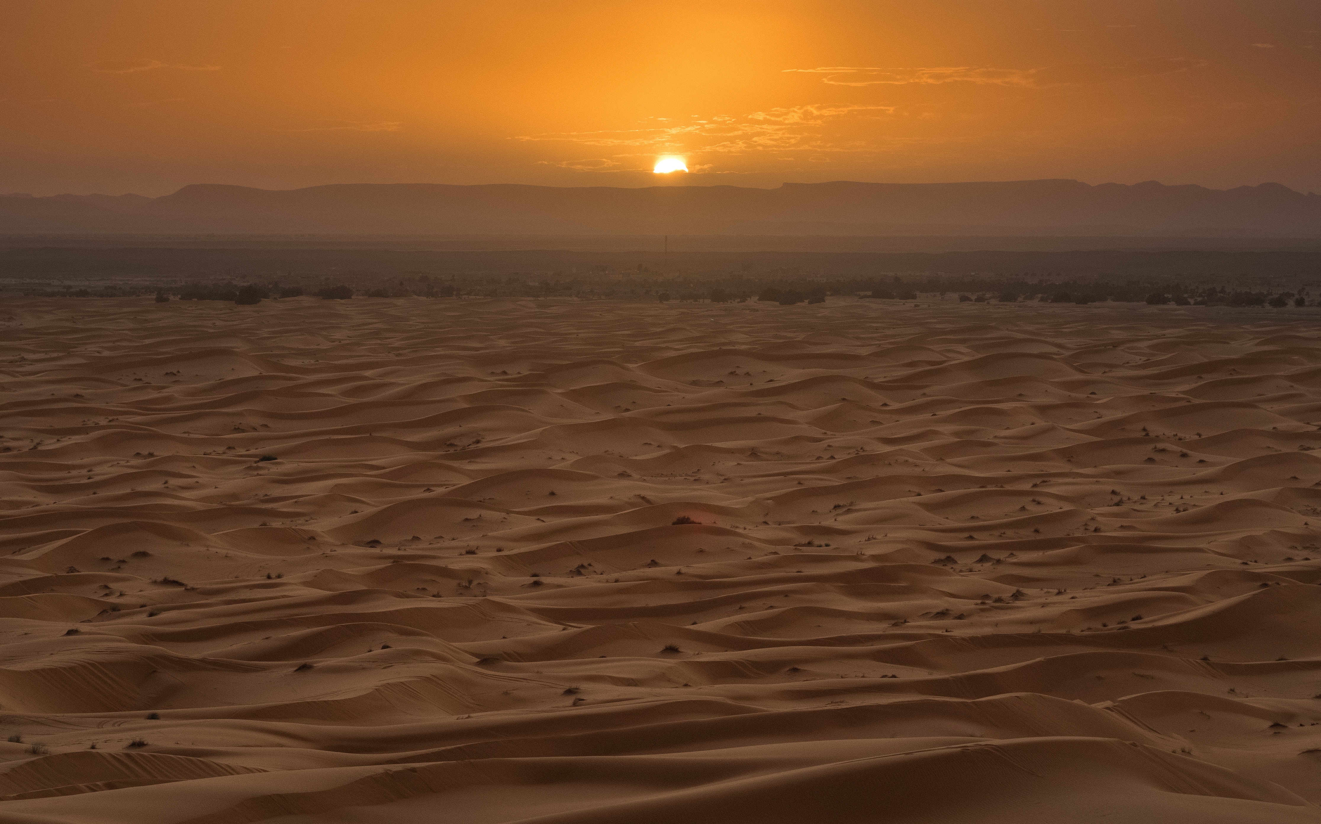 desert safari sunset