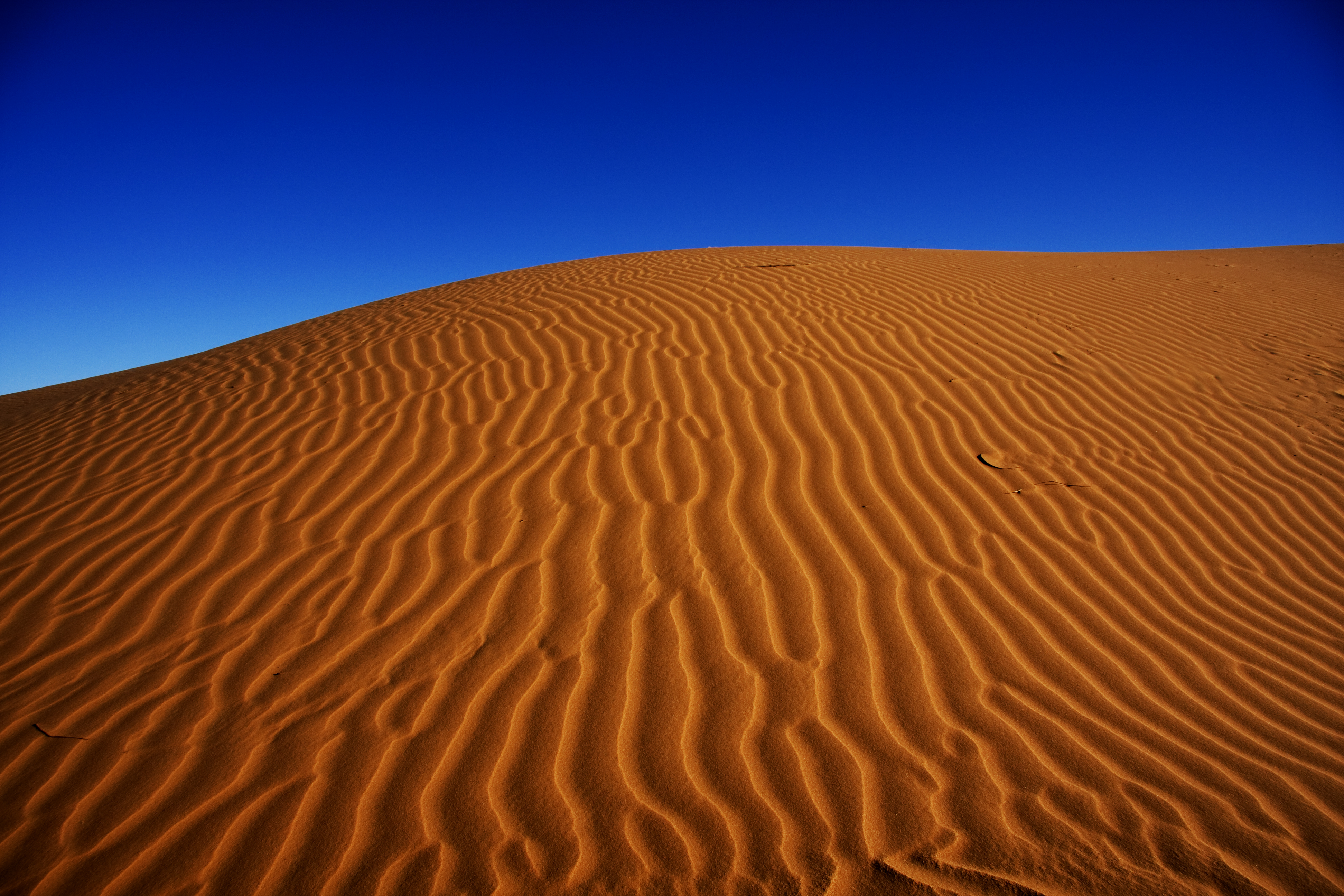 Пустыня. Песчано-эоловая пустыня Сахары. Пустыня сахара (Sahara Desert). Дюна сахара Африка. Пустыня дюны 4к.