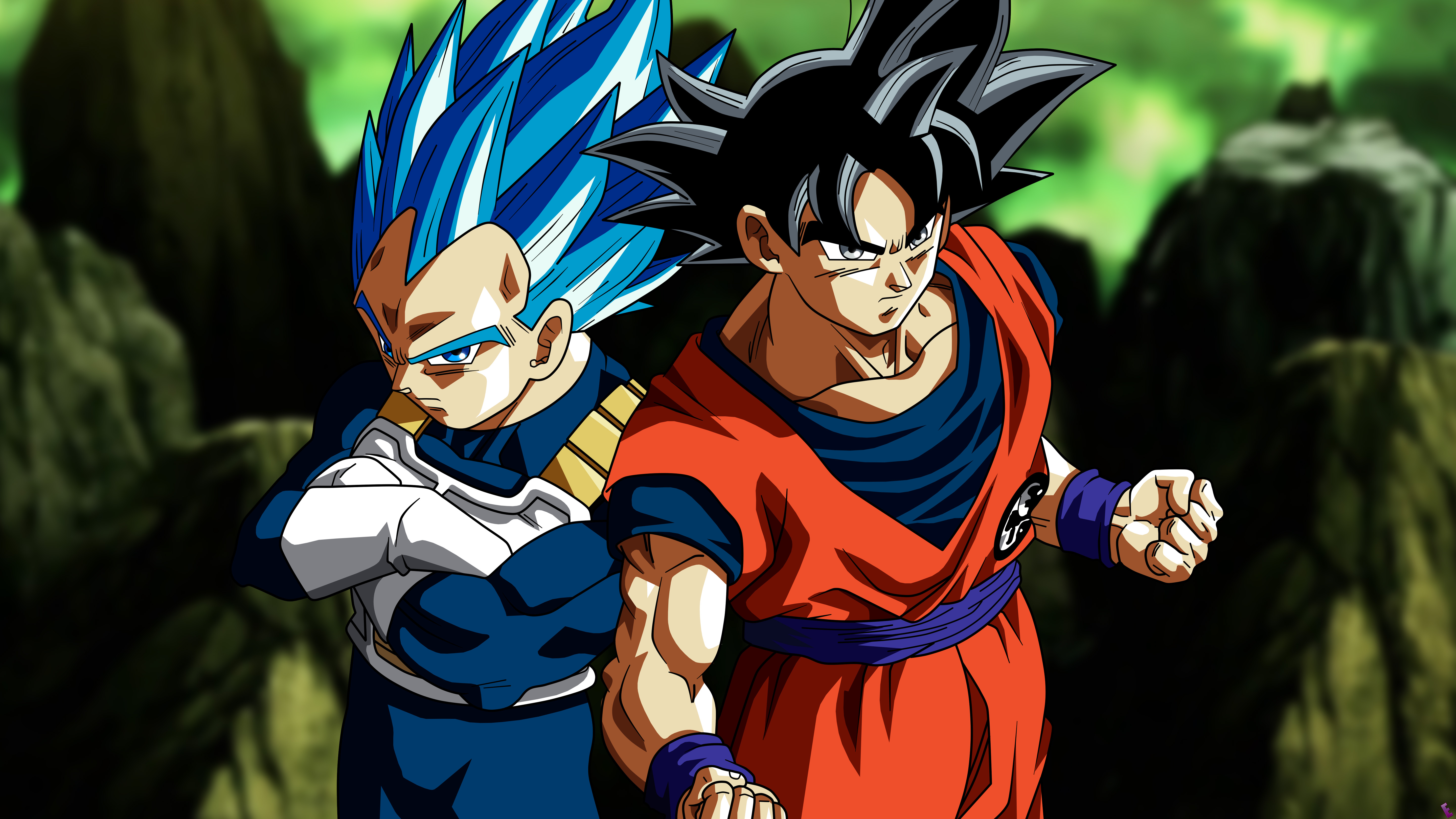 Son Goku Vegeta In Dragon Ball Super 5k, HD Anime, 4k Wallpapers, Images,  Backgrounds, Photos and Pictures