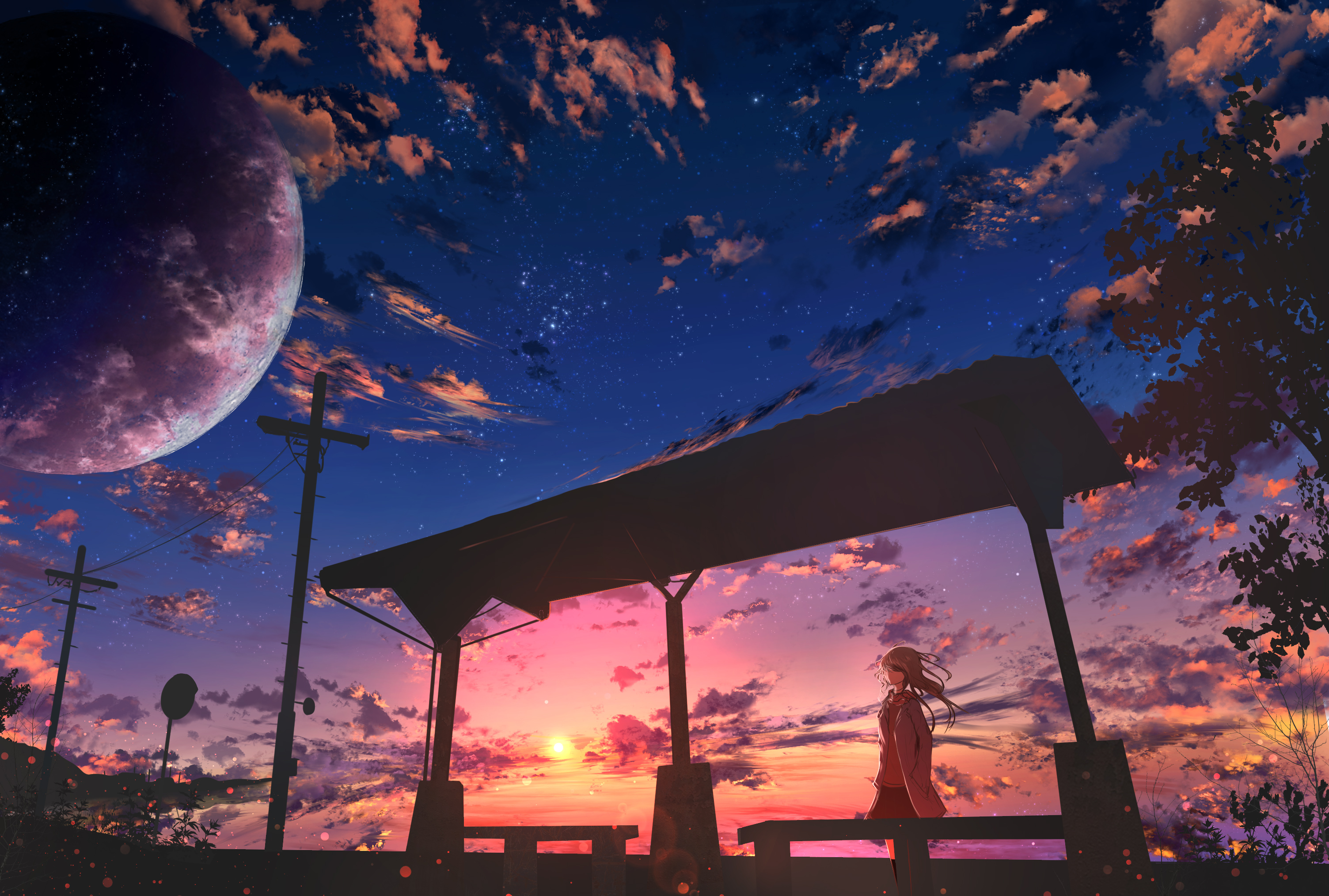 Girl Starring Starry Sky Wallpaper Hd Anime K Wallpapers Images | Sexiz Pix