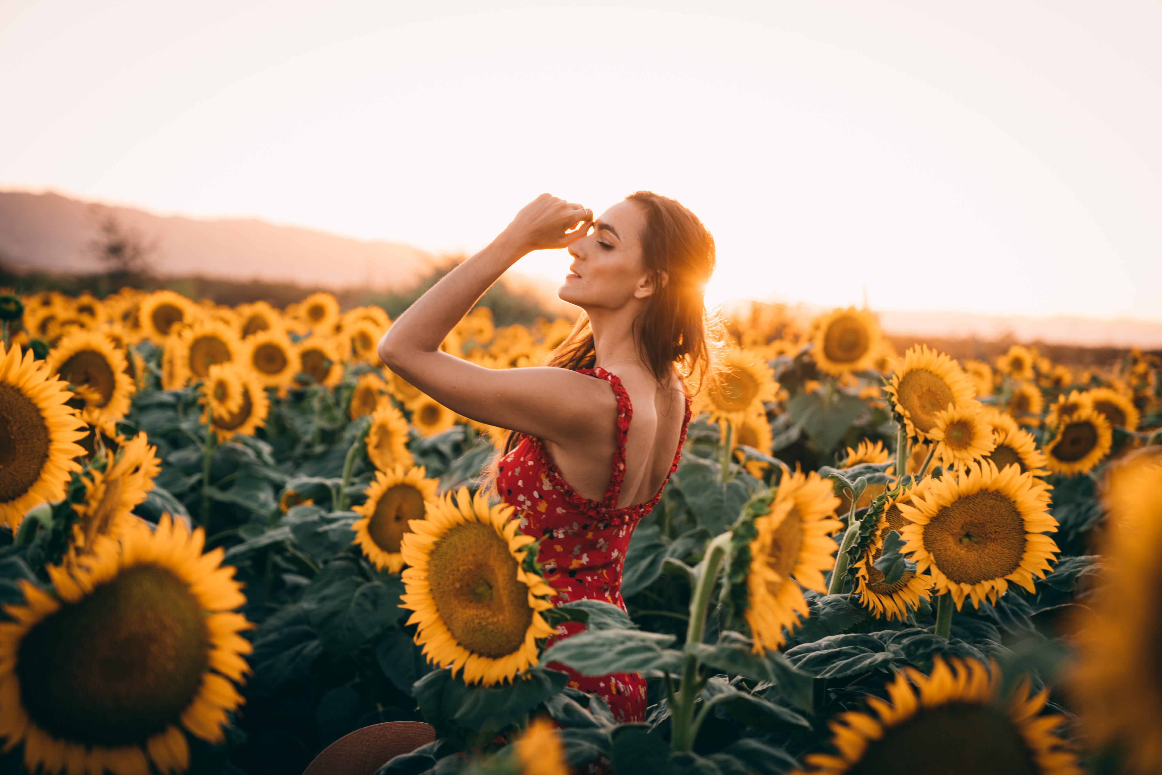 Sunflowers Field Dress Women 4k, HD Girls, 4k Wallpapers, Images,  Backgrounds, Photos and Pictures