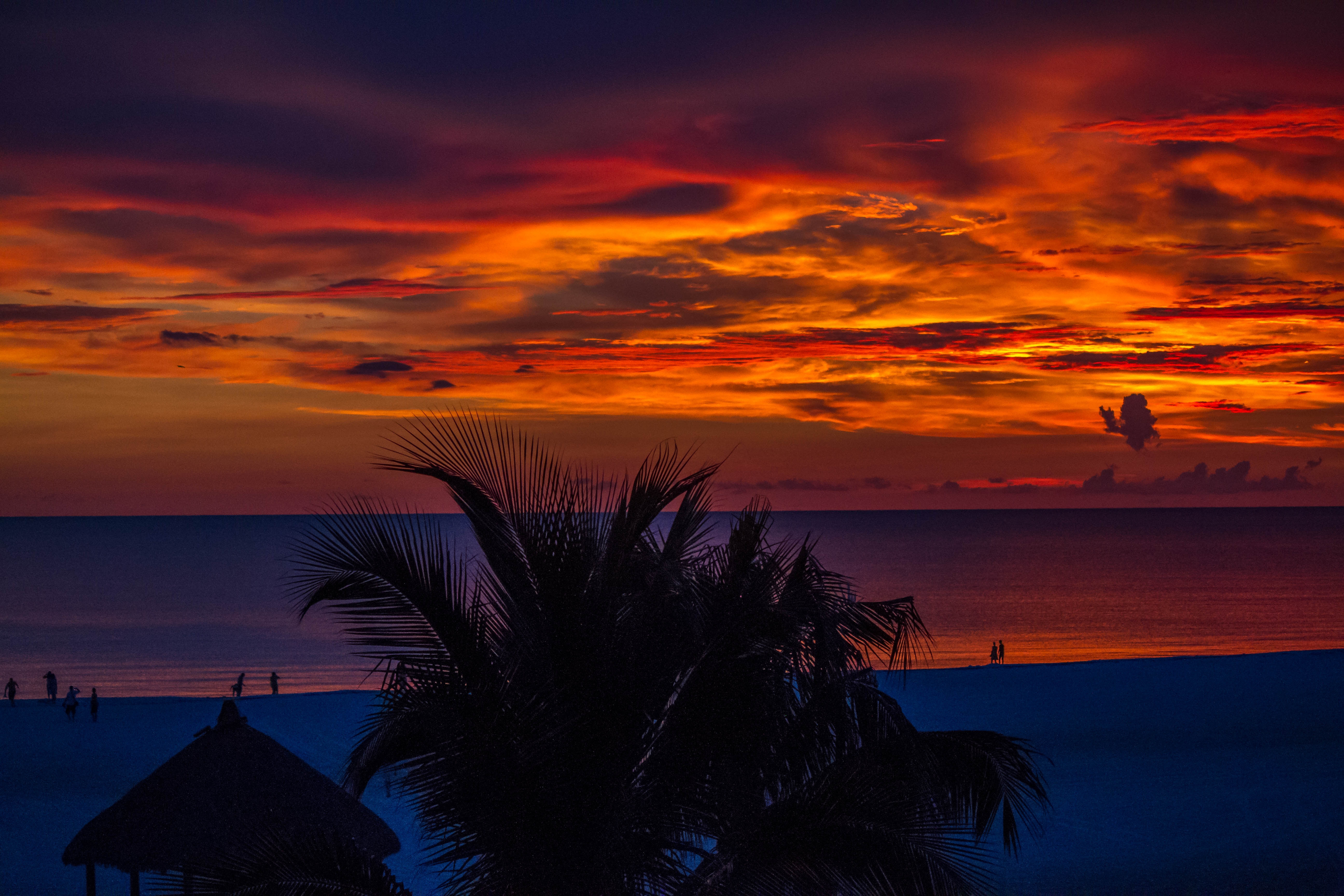 Sunset Palm Tree Cloud Sky Reflection 4k Ultra Hd Mobile Wallpaper - Vrogue