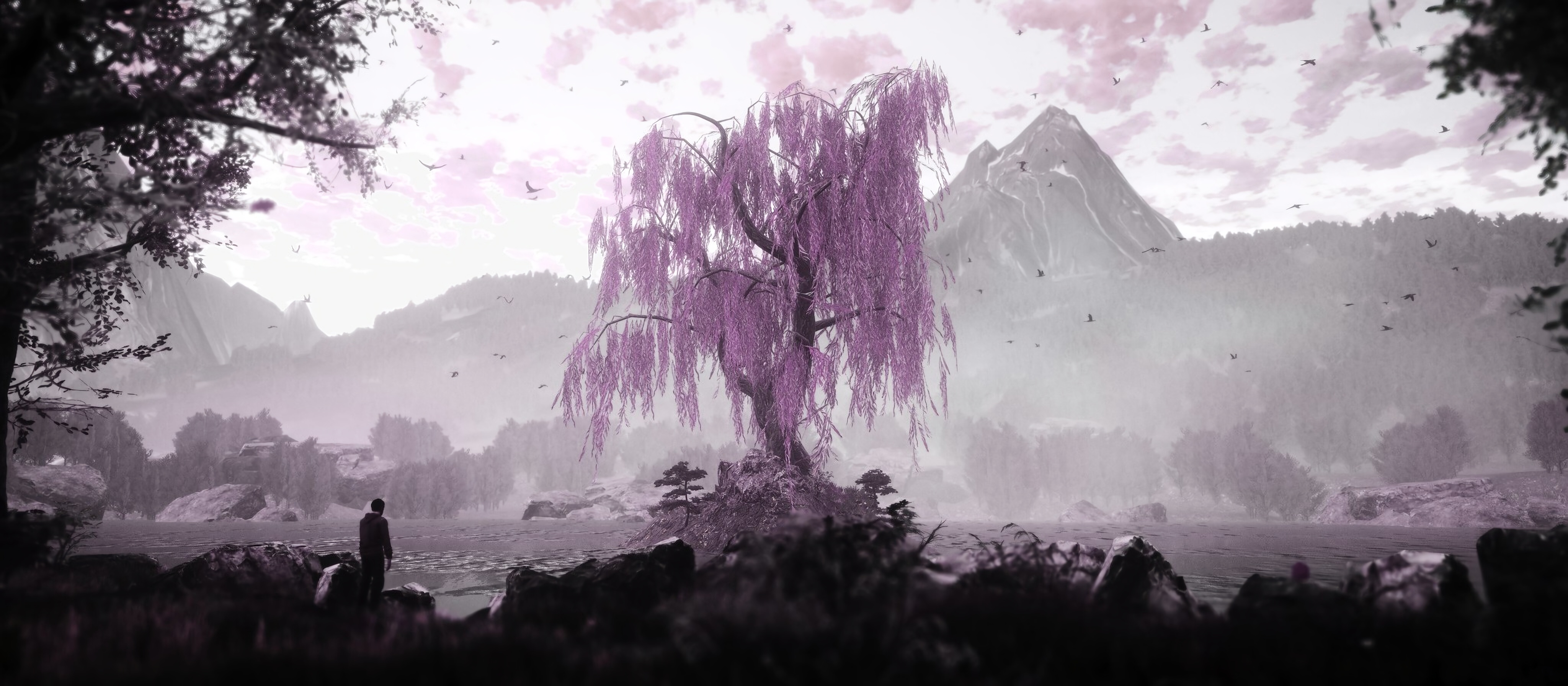 The Dead Tree Of Ranchiuna, HD Games, 4k Wallpapers, Images, Backgrounds,  Photos and Pictures