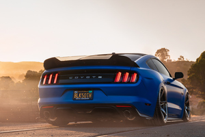Ford Mustang 1366x768 Resolution Wallpapers 1366x768 Resolution