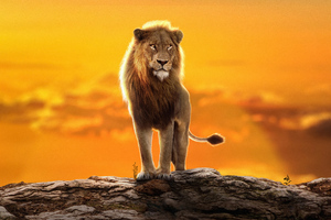 2022 The Lion King Simba Wallpaper
