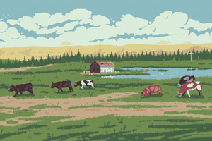 A Field Of Cows (1336x768) Resolution Wallpaper