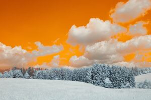 A Snow Covered Field With Trees Under A Cloudy Sky Wallpaper