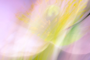 Abstract Flower Blur Wallpaper