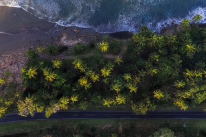 Aerial Shot Of Trees 4k Wallpaper