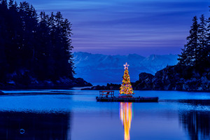 Alaska Amalga Harbor Christmas Tree 10k Wallpaper