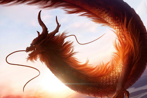 Ancient Dragon 4k